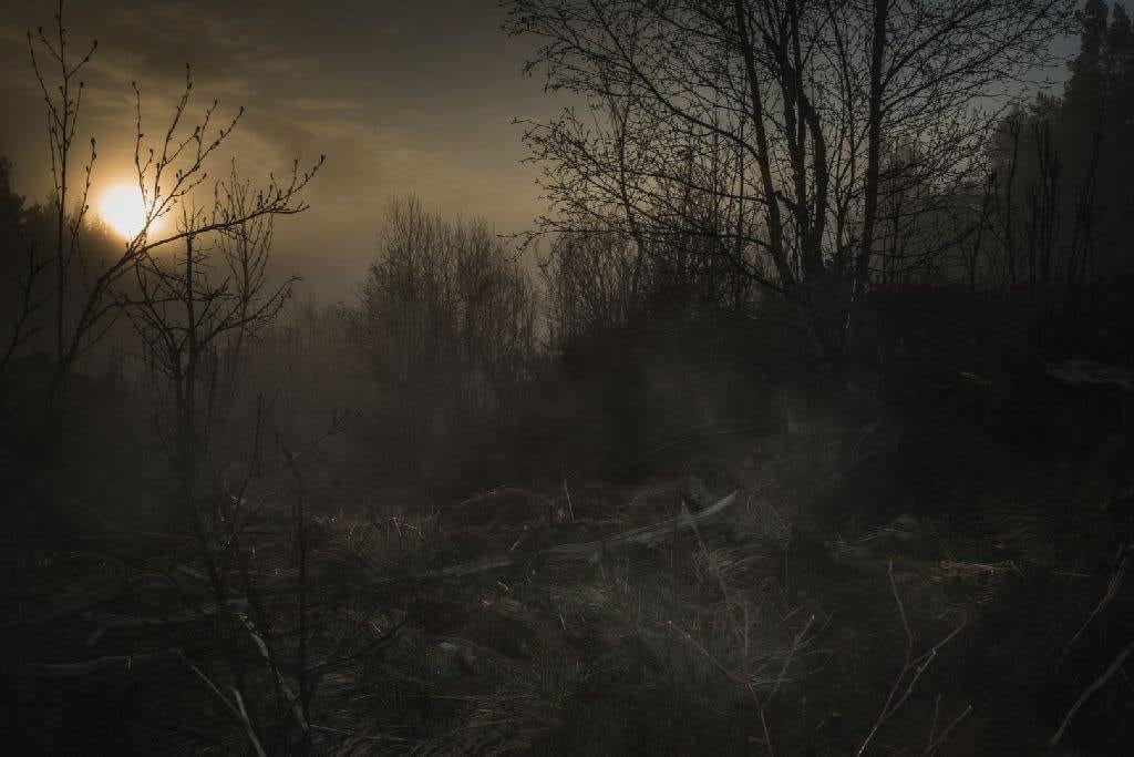 Todd Hido, #11798-4172, 2017