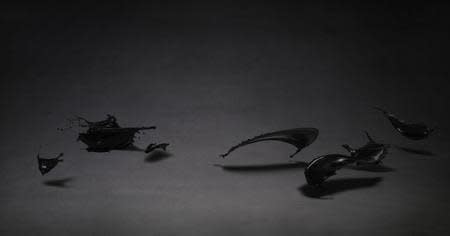 Shinichi Maruyama, Garden #12, 2010