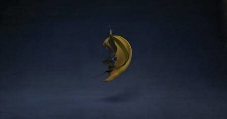 Shinichi Maruyama, Garden #9, 2010