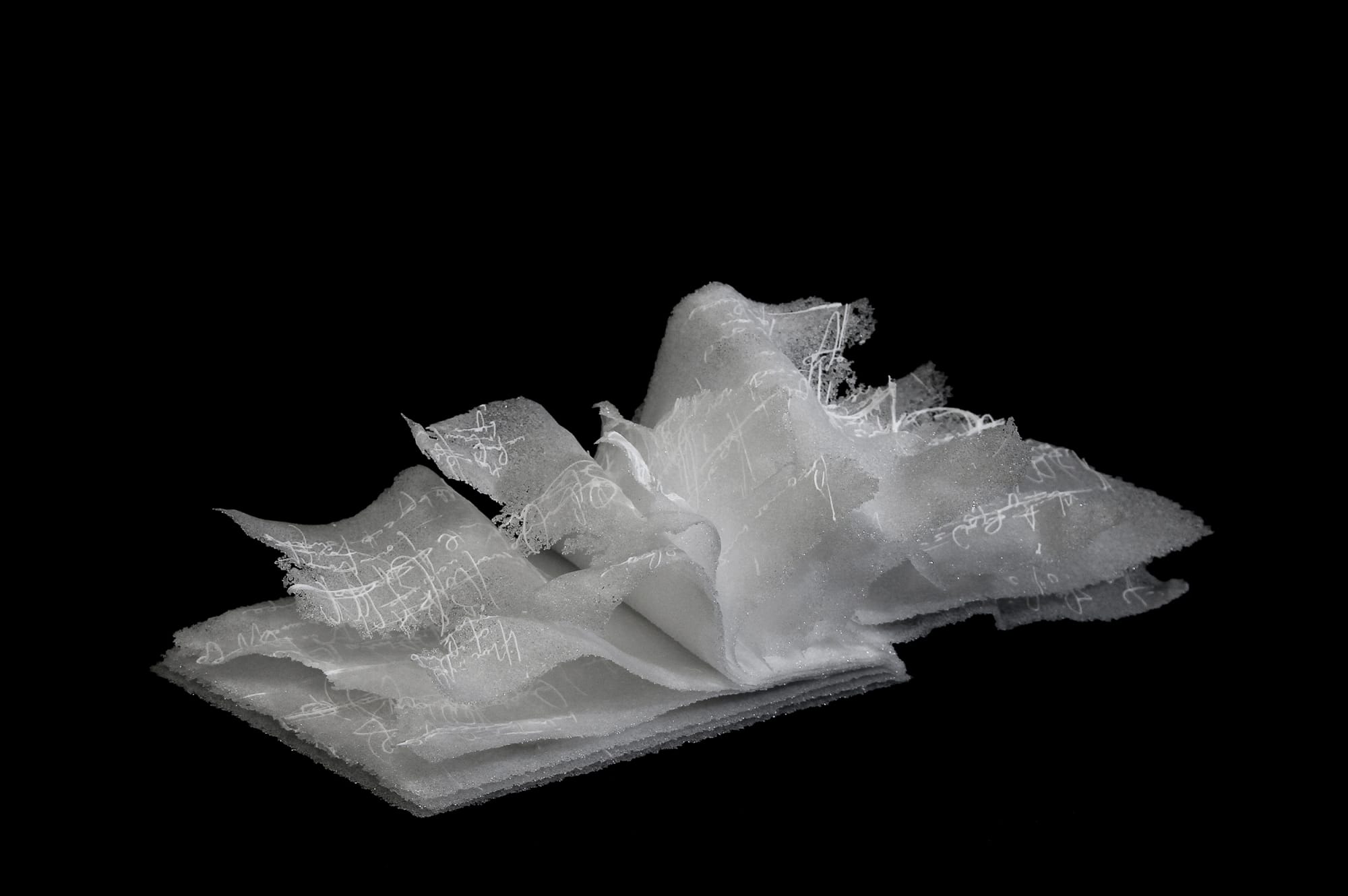 Anne Petters, Book of the Sea II, 2019