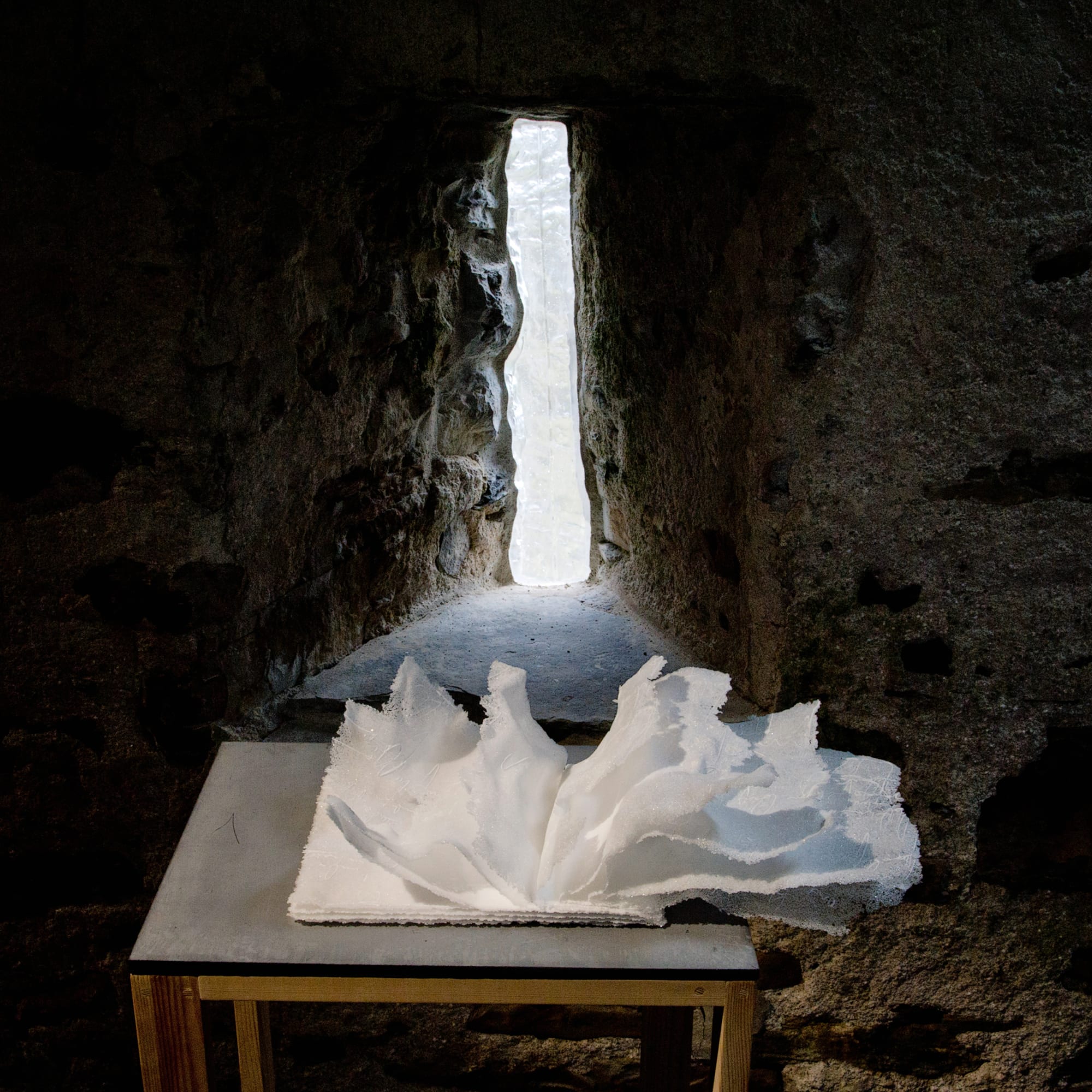 Anne Petters, Book of the Sea, 2019