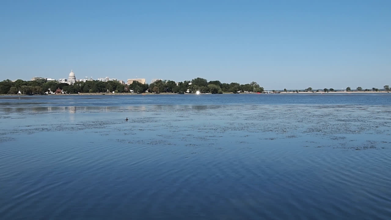 Helen Lee, Announcement, 2015