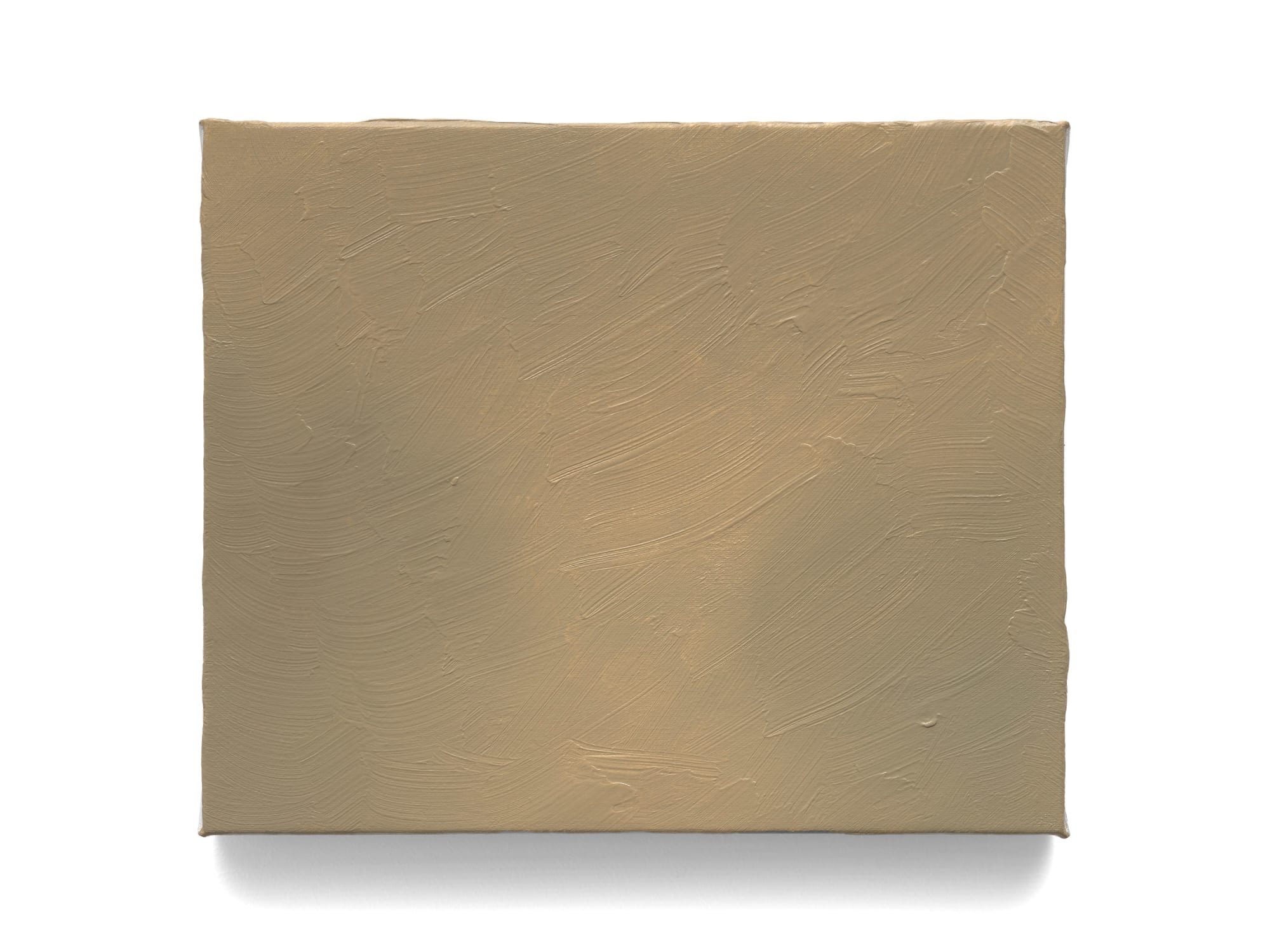 Tom Van Puyvelde, Evanescence XIII, 2024