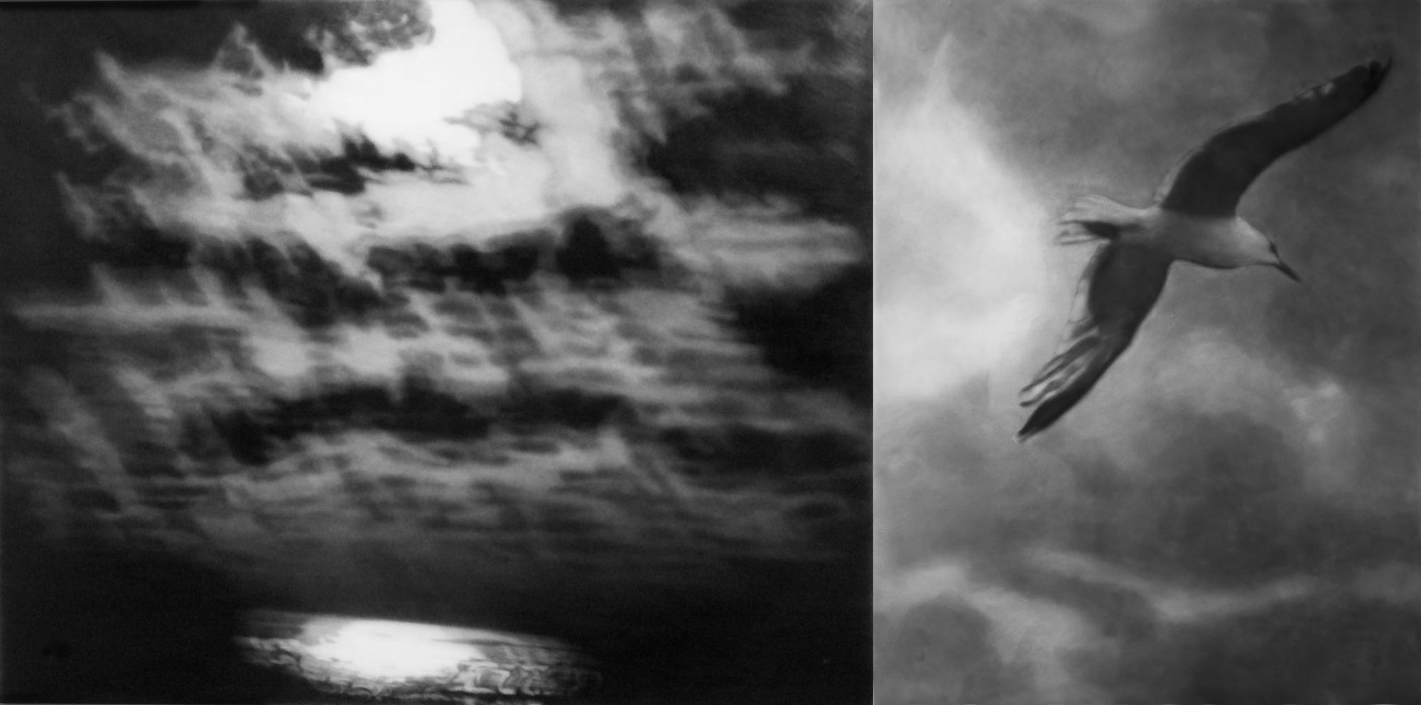 Sarah Leahy, Night Elapsing, 2024