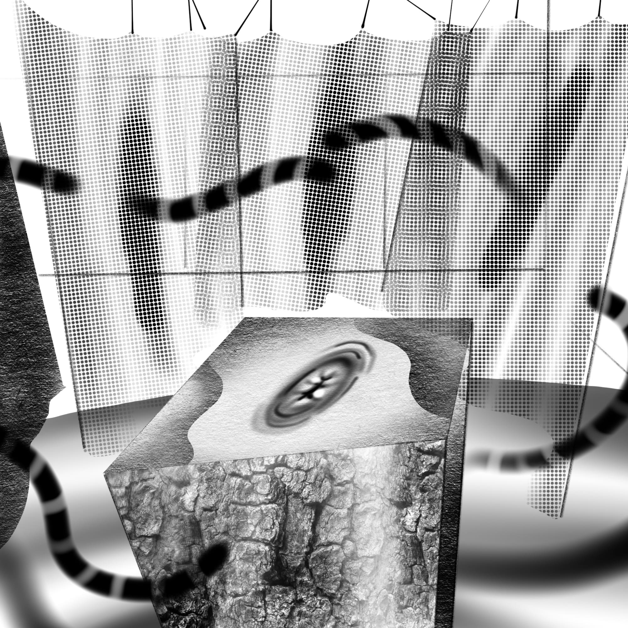 Joe Madeira, Private view with plinth, 2016