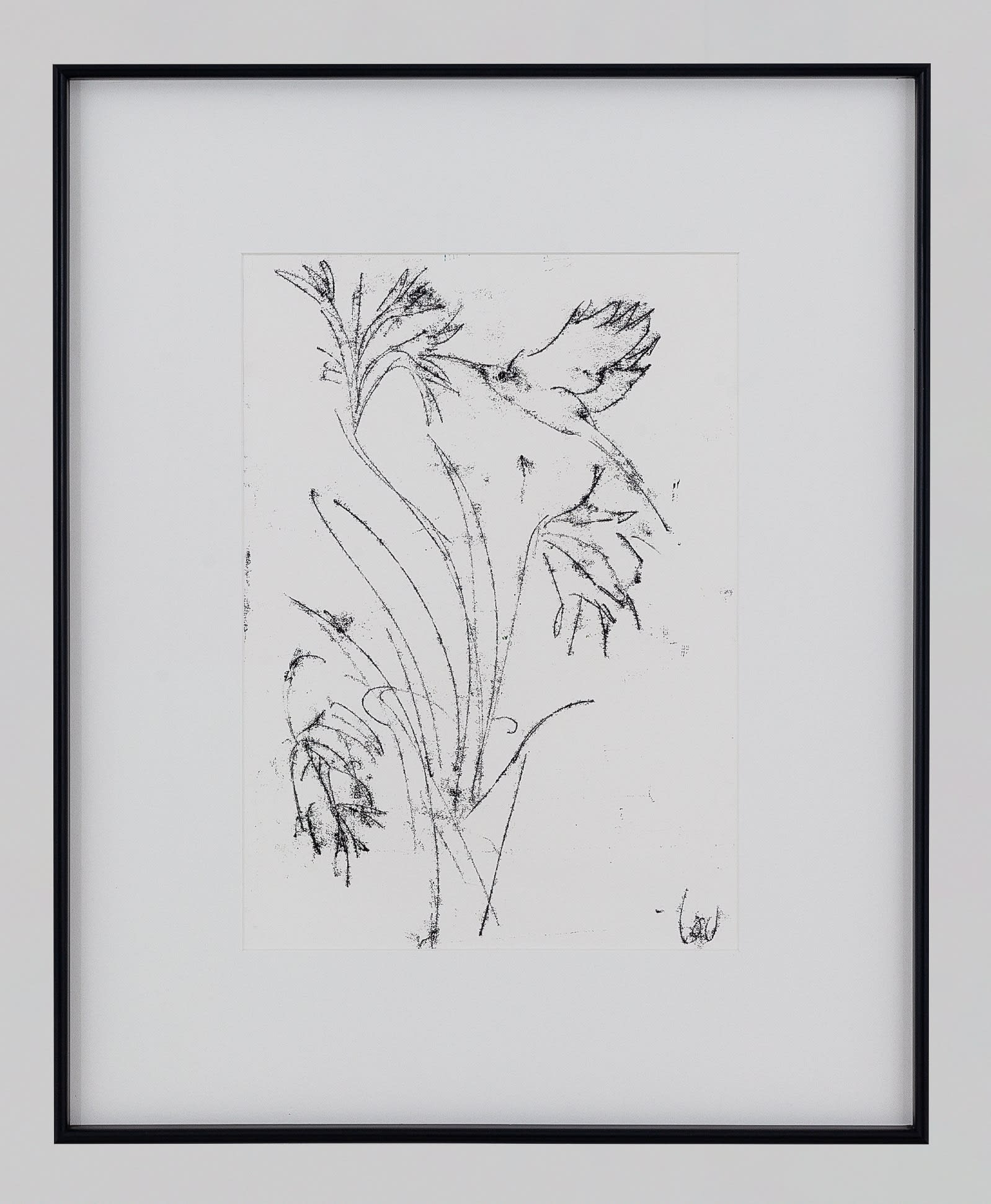 Louise Almon, Sunbird and Agapanthus I, 2024