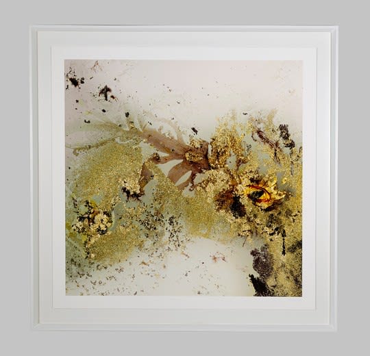 Mariëtte Kotzé, We're All fine anyway, 1/5, 2022