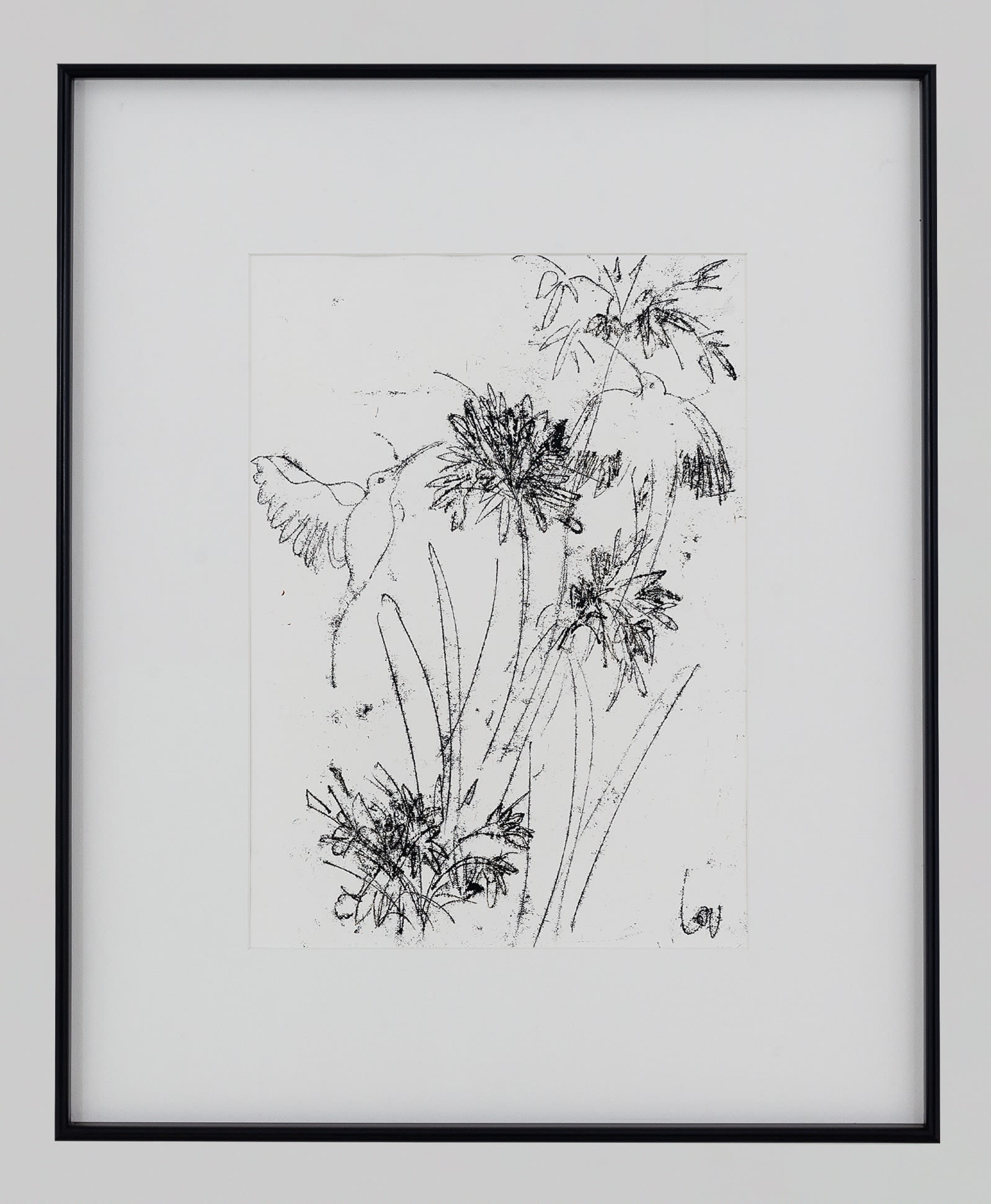 Louise Almon, Sunbird and Agapnthus II, 2024