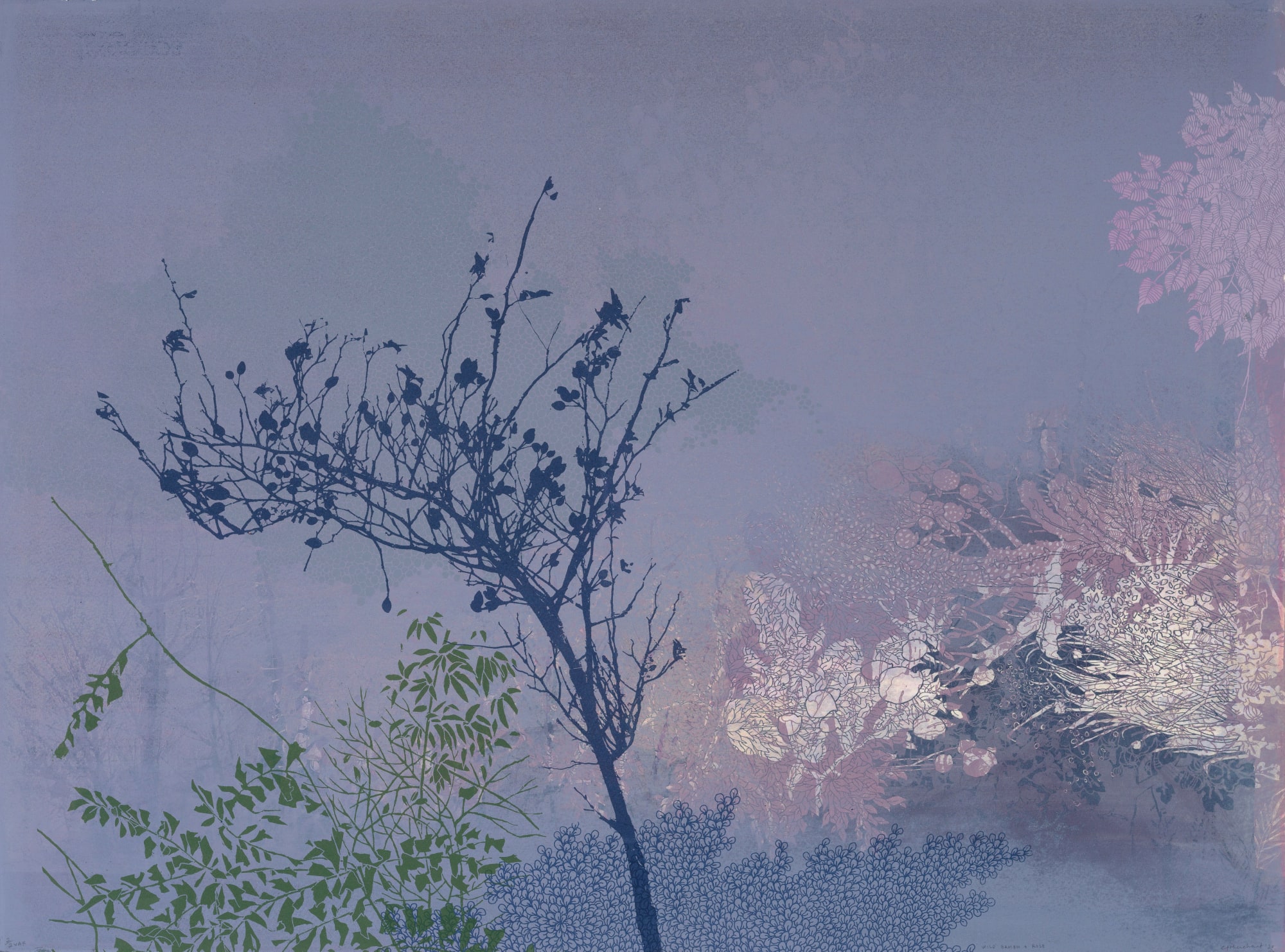 Chitra Merchant, Wild Bamboo & Rose, 2021