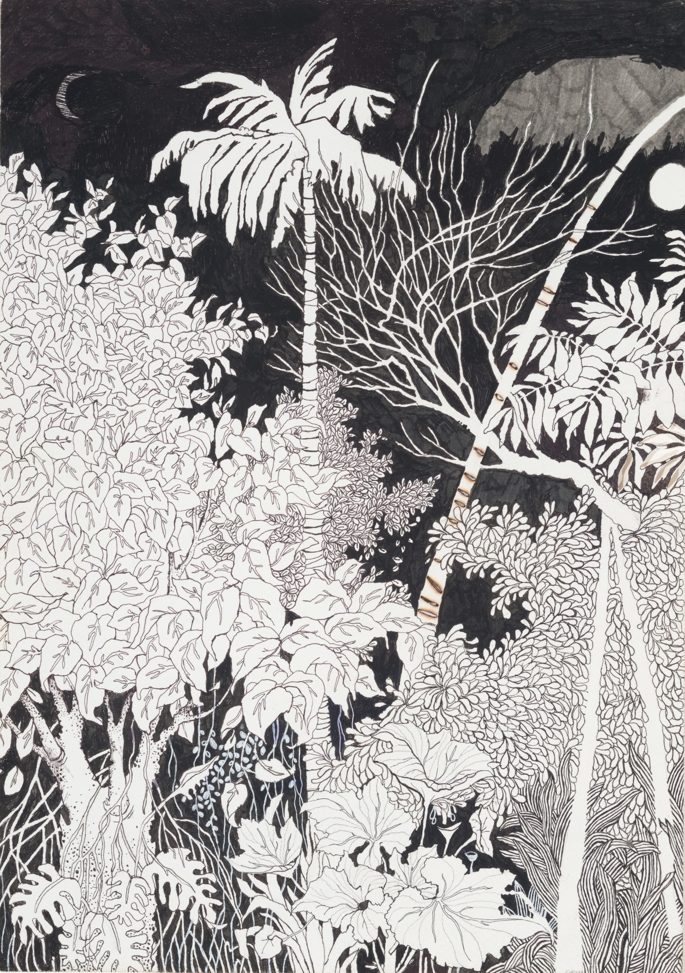 Chitra Merchant, Cauvery Calling, Bodhi & Lime, 2020