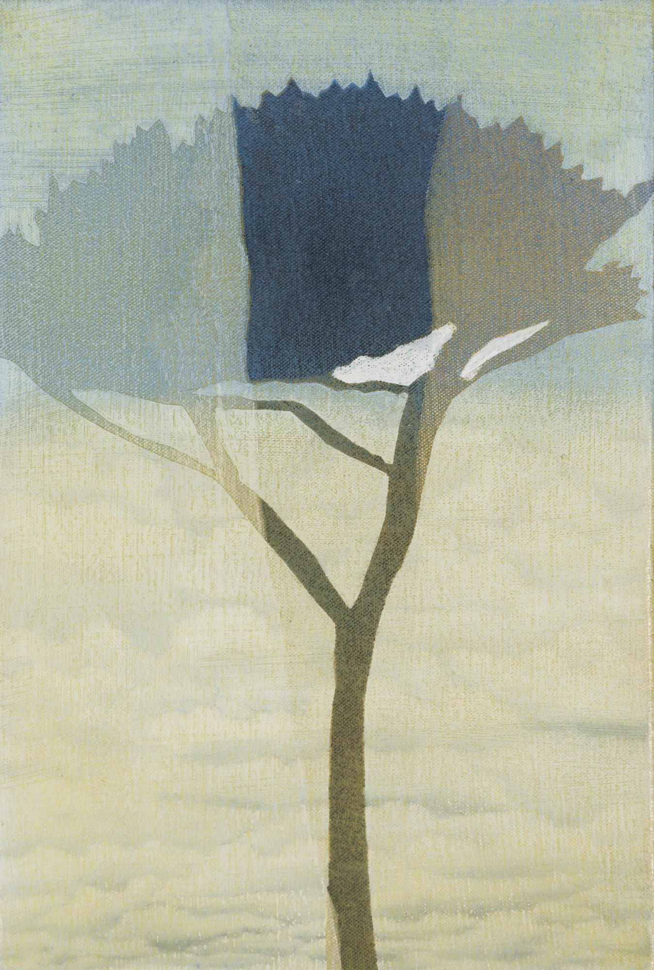 Kerry Harding, Cardinham 1, 2024
