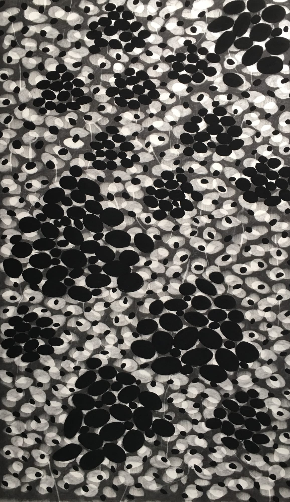 Hen Coleman, Following