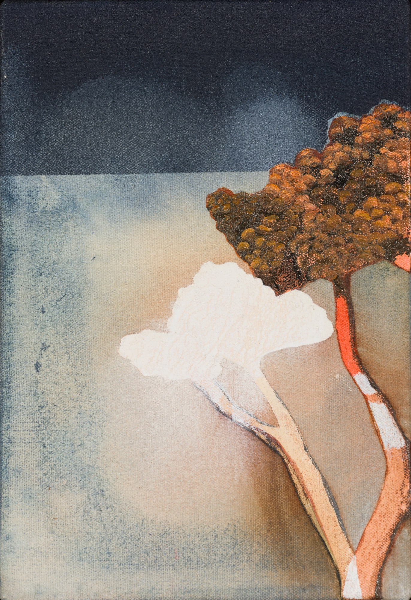 Kerry Harding, Petrichor 7, 2024