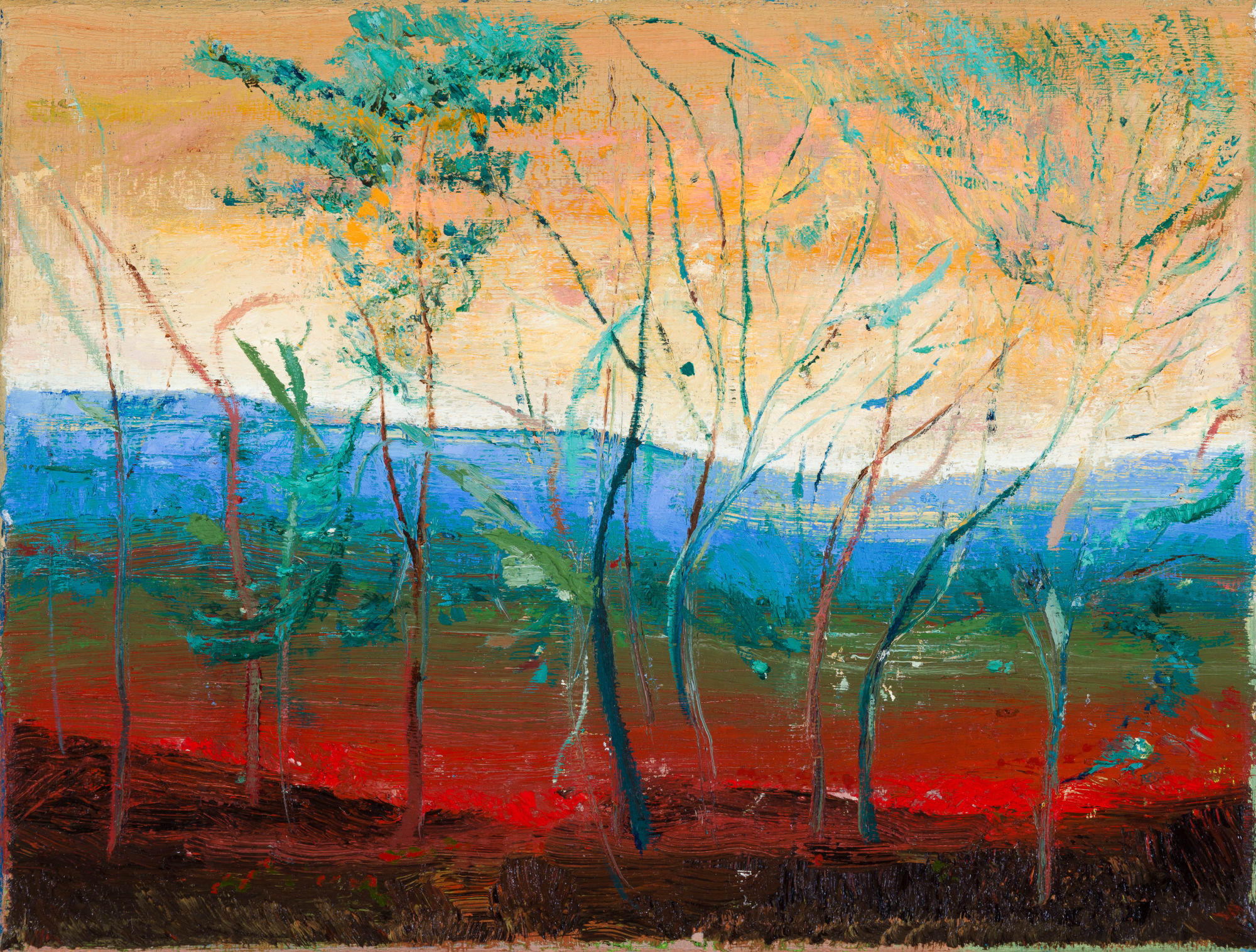 Calum McClure, Small group of trees, Ragogna, 2023