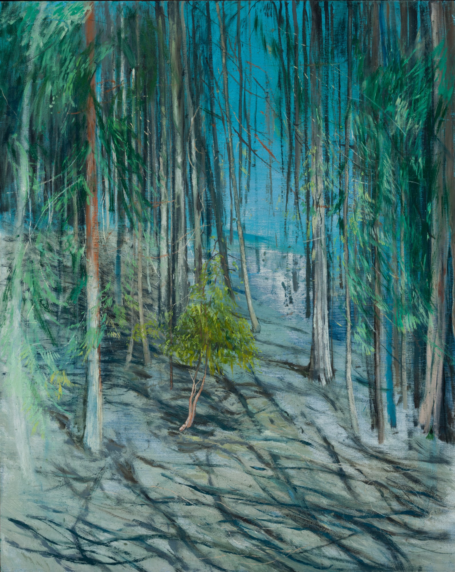 Calum McClure, Japanese Tree, 2021