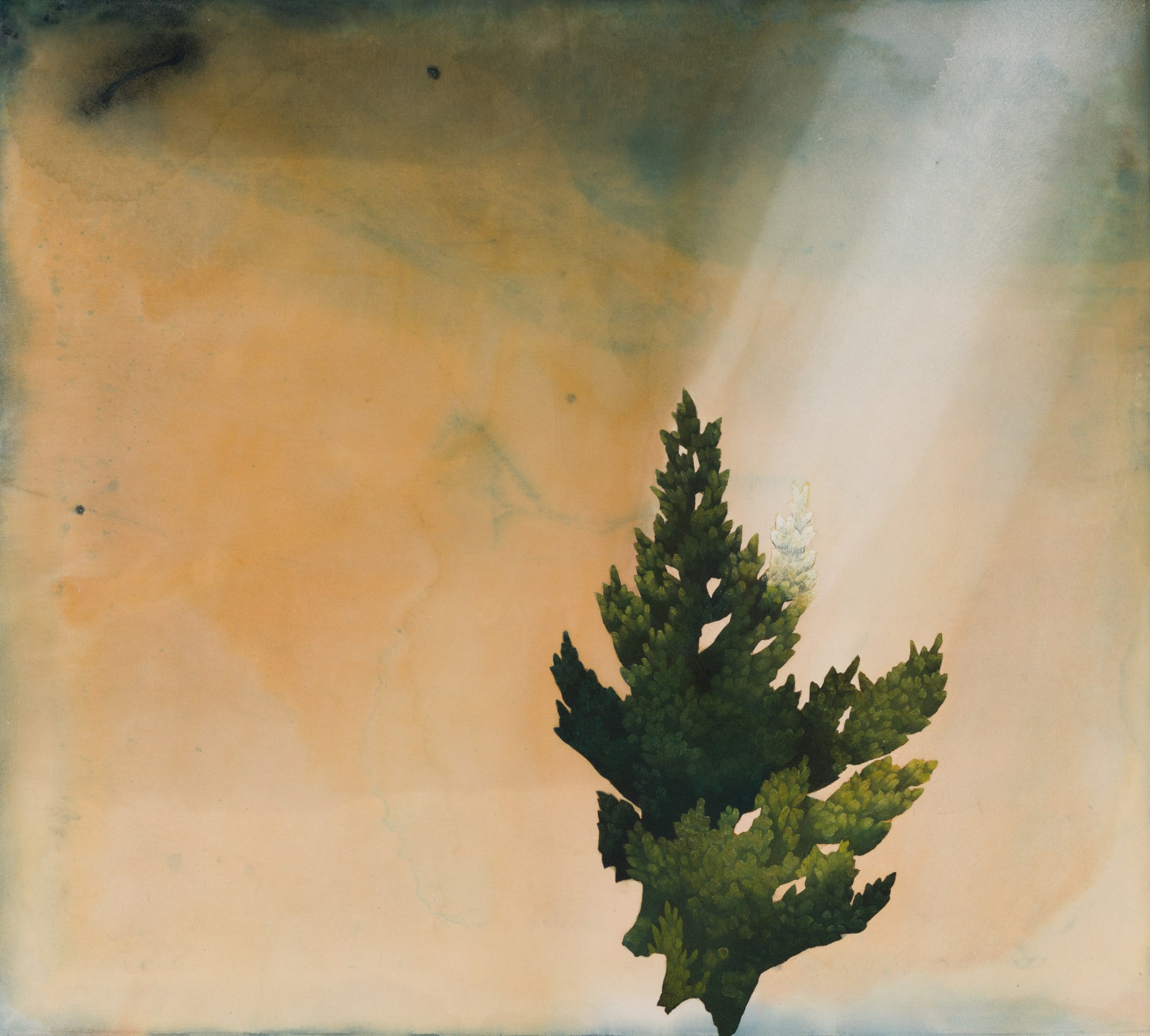 Kerry Harding, In a serener bright, 2022