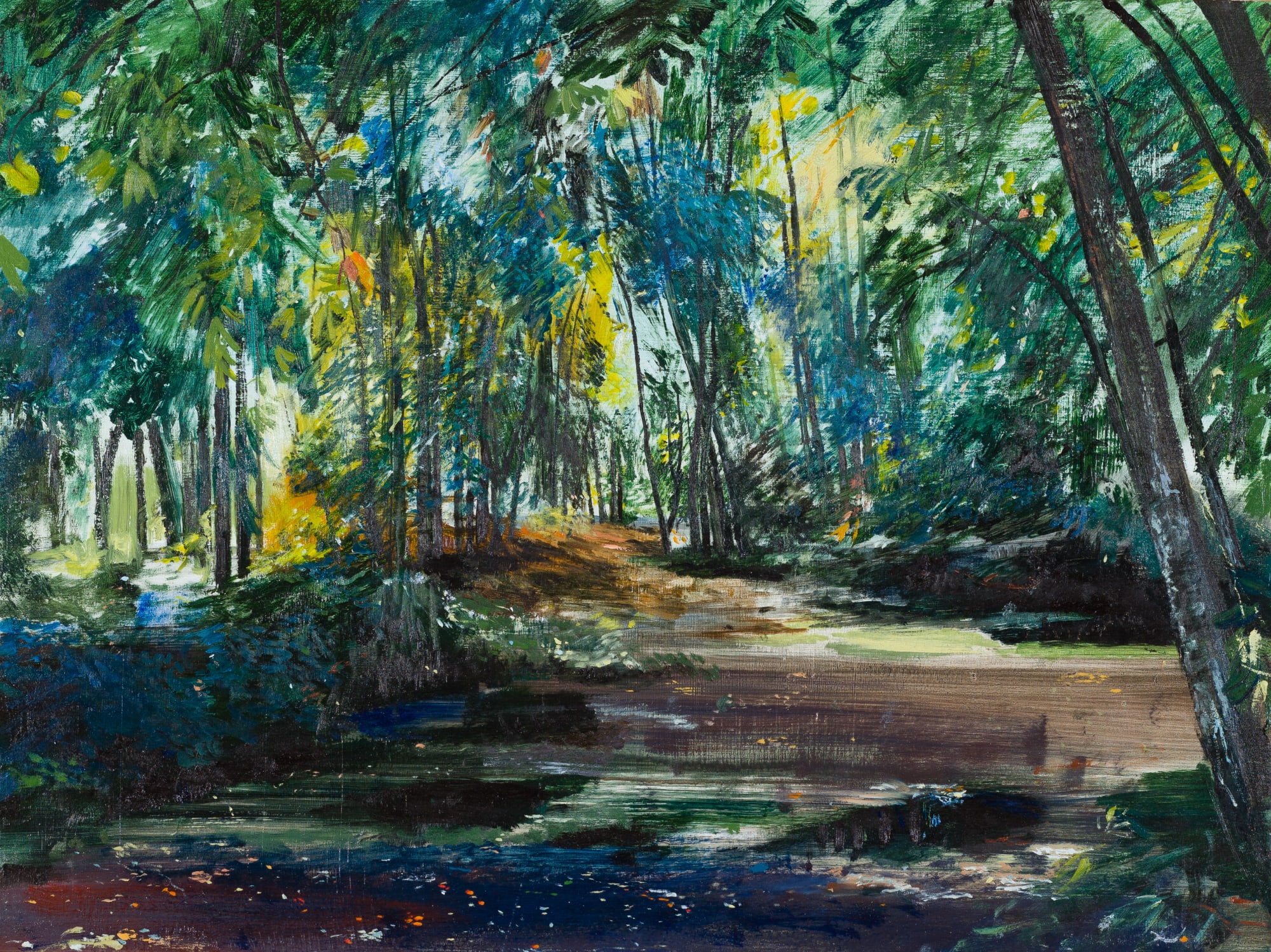 Calum McClure, Shadows, Iping Common