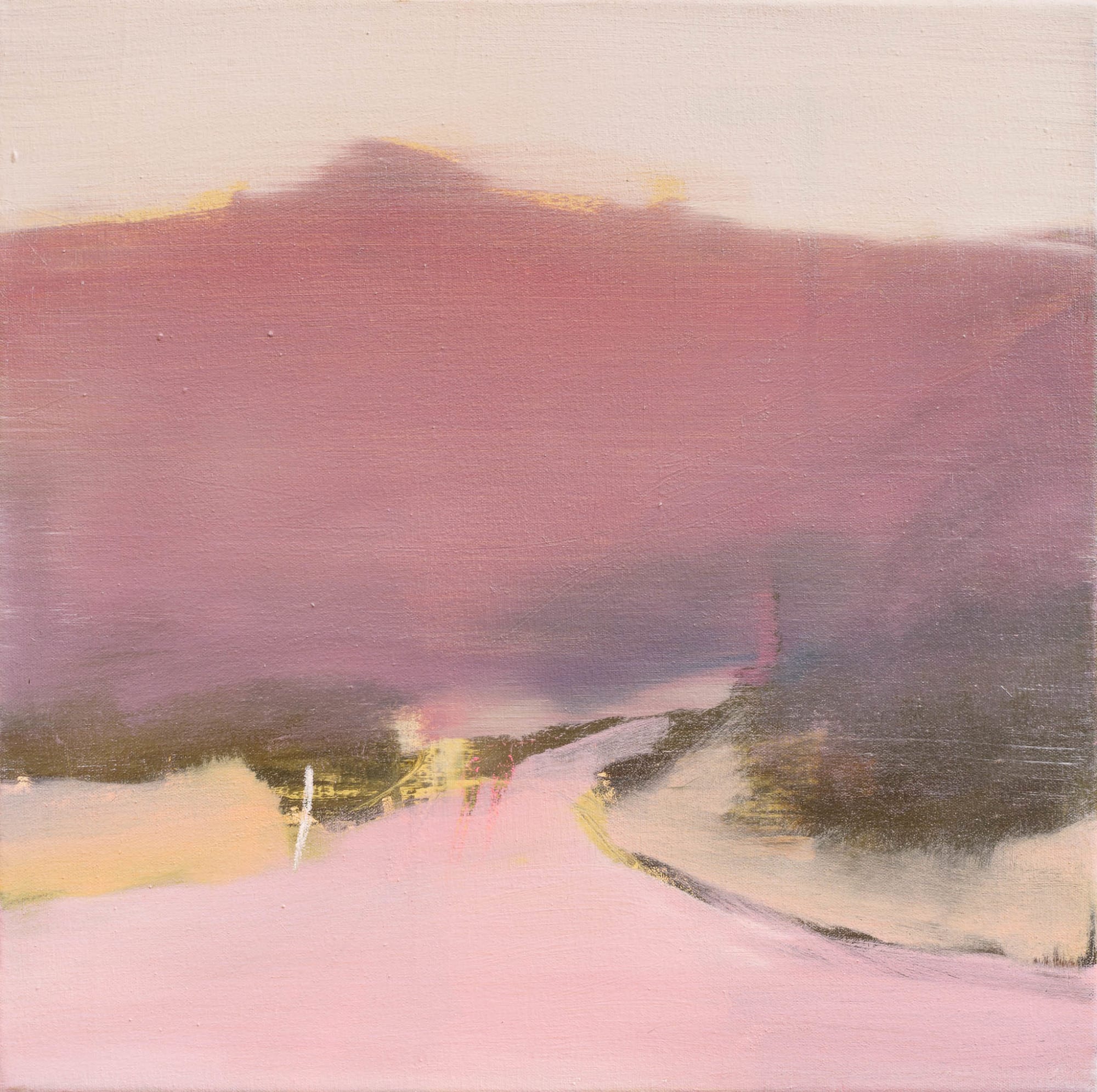 Pippa Blake, Pink Taupo, 2013