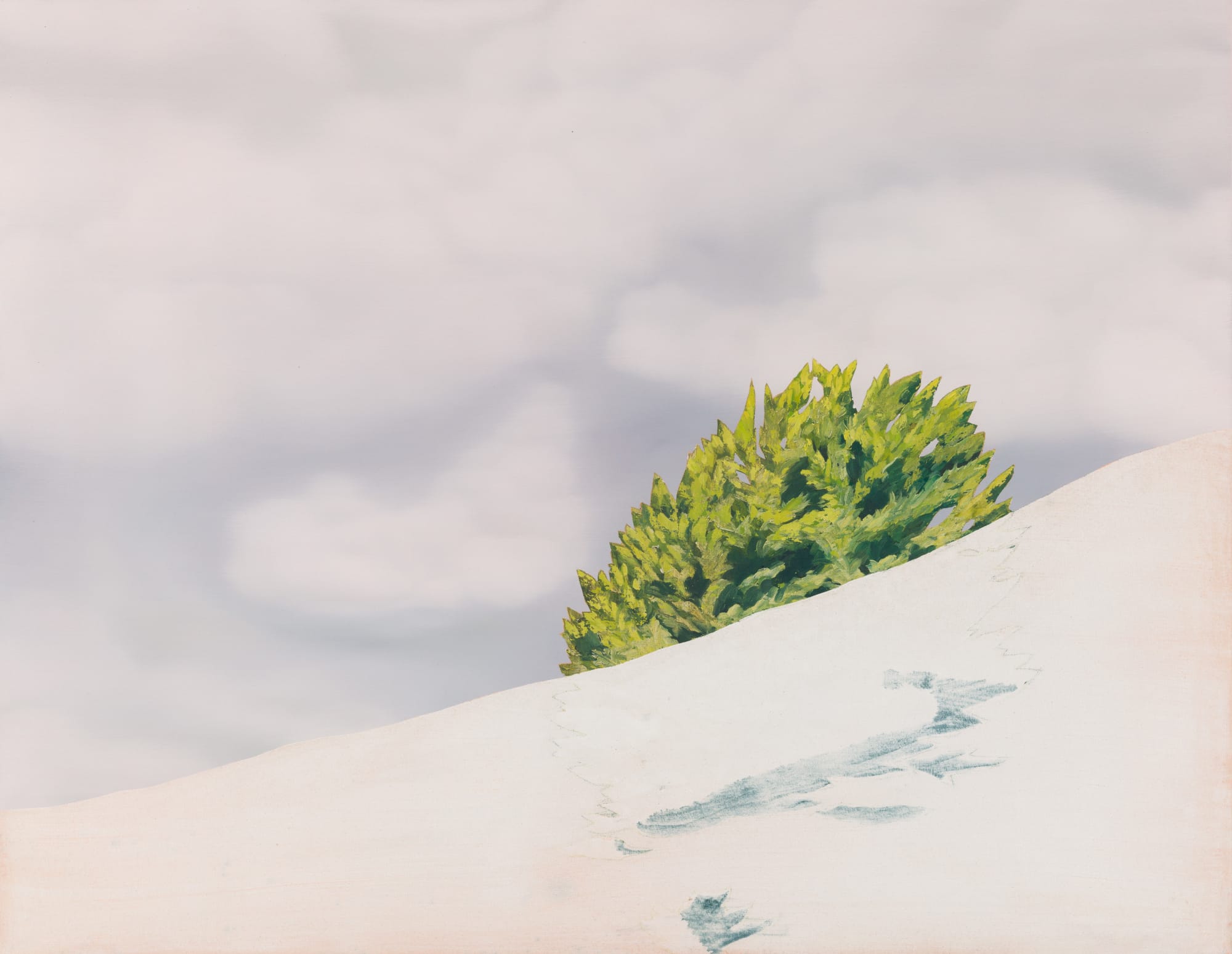 Kerry Harding, Whose leaf is ever green, 2022