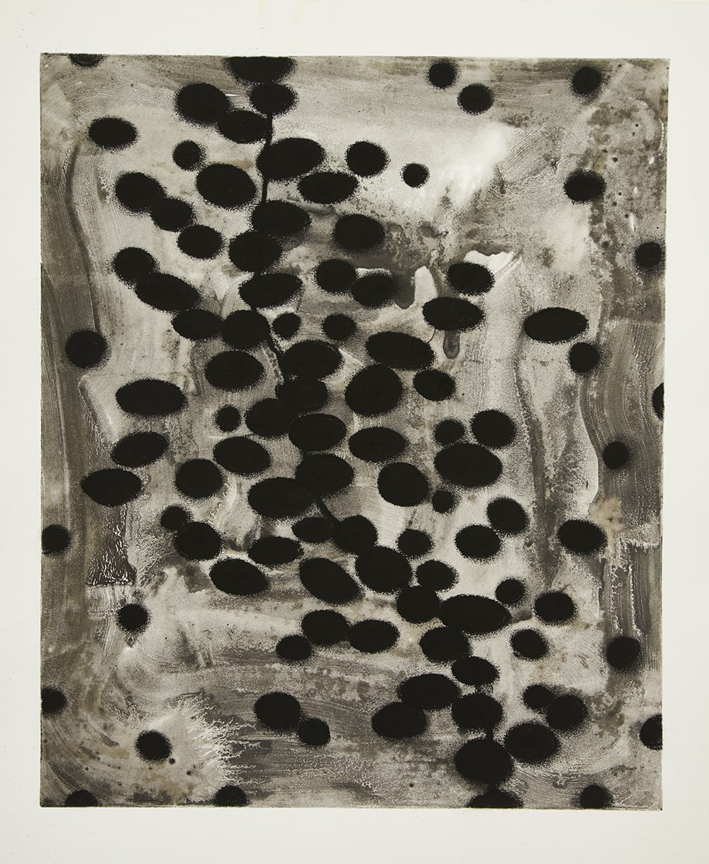 Hen Coleman, Shadowplay, 2017