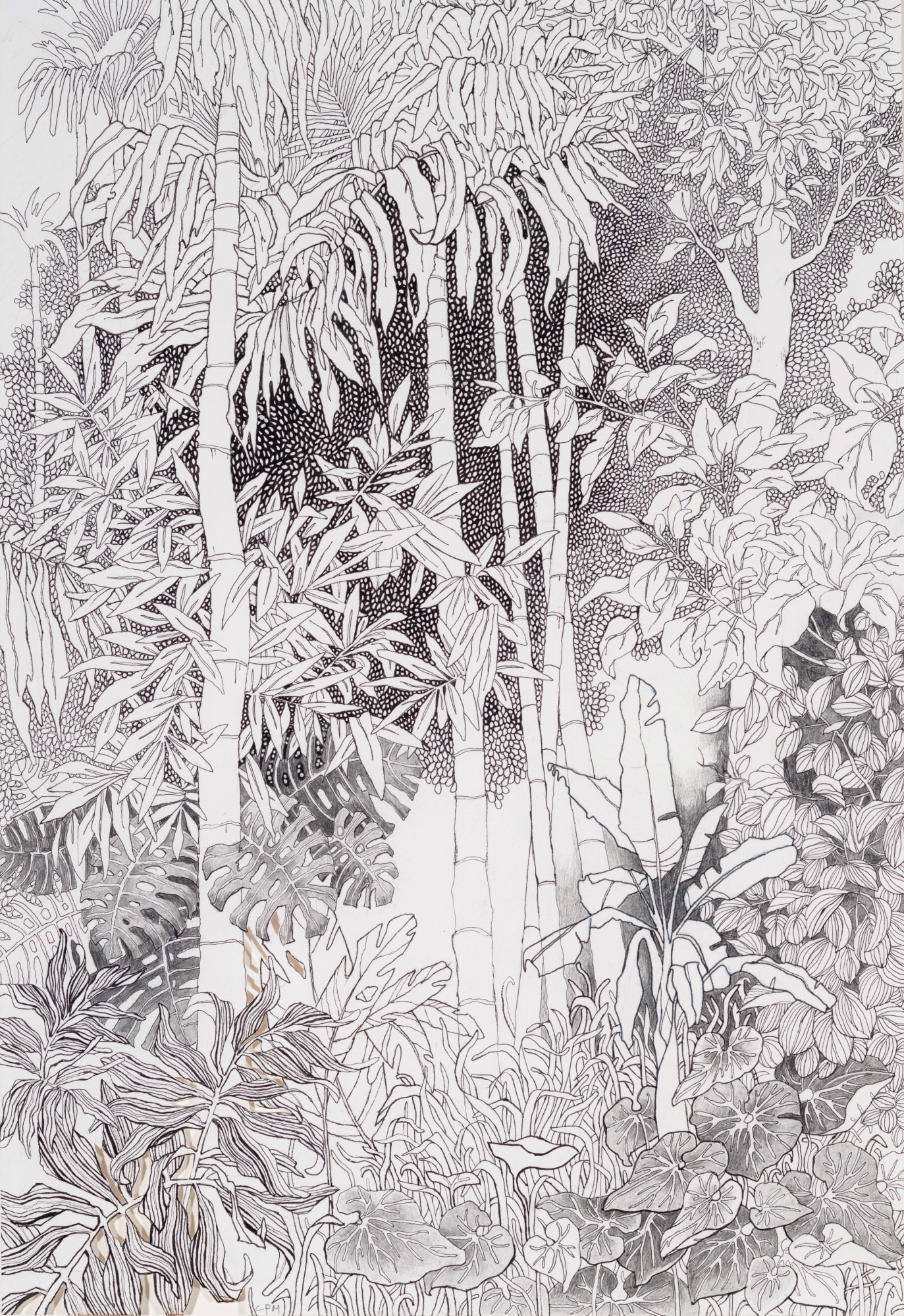 Chitra Merchant, Cauvery Calling V, 2021