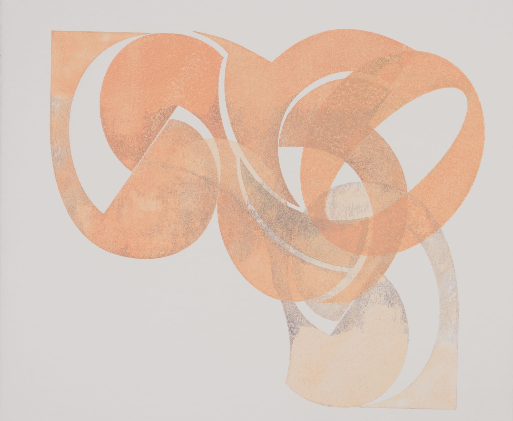 Celia Cook, Ostinato 21, 2021