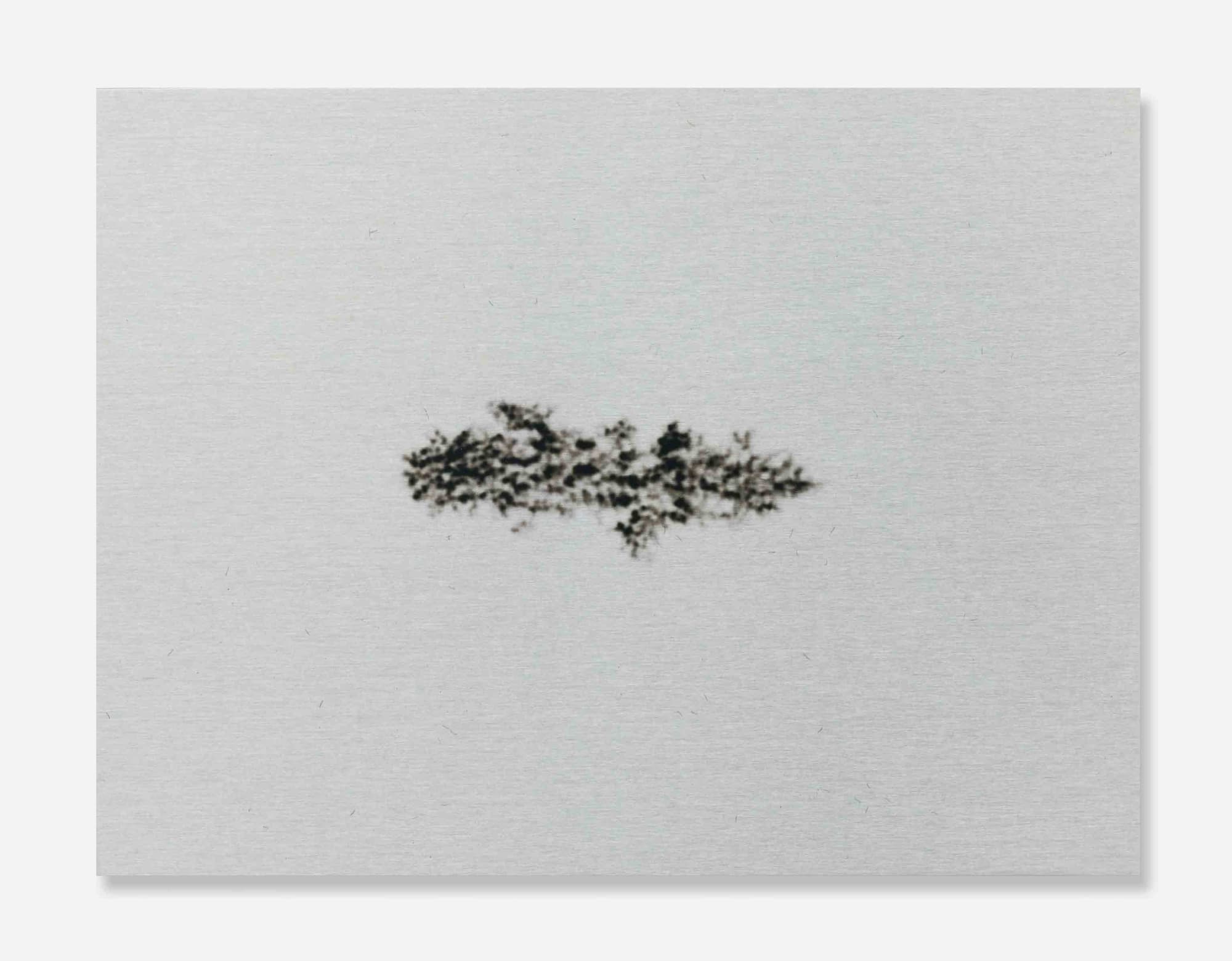 Alice Wang, Untitled 无题, 2014