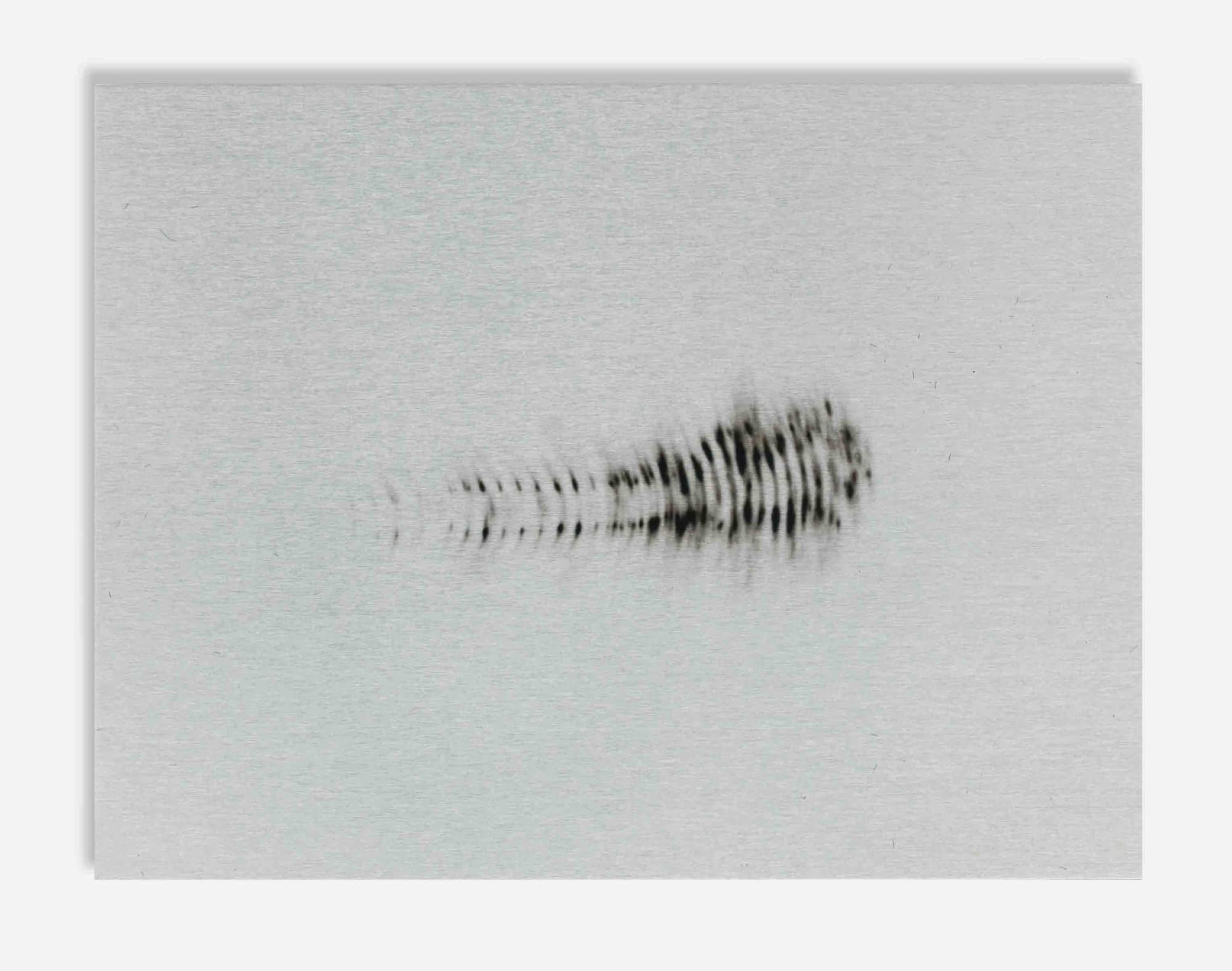 Alice Wang, Untitled 无题, 2014