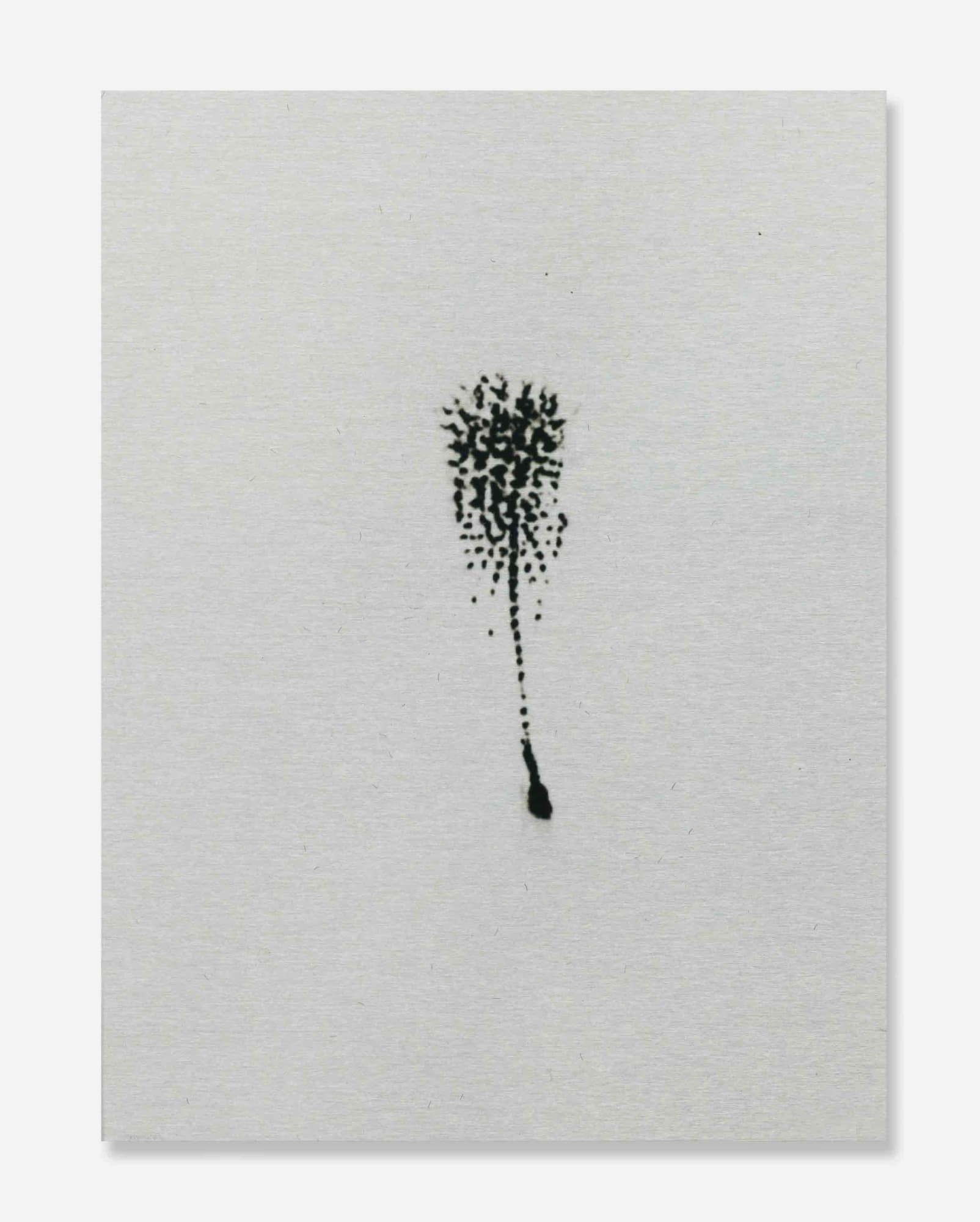 Alice Wang, Untitled 无题, 2014