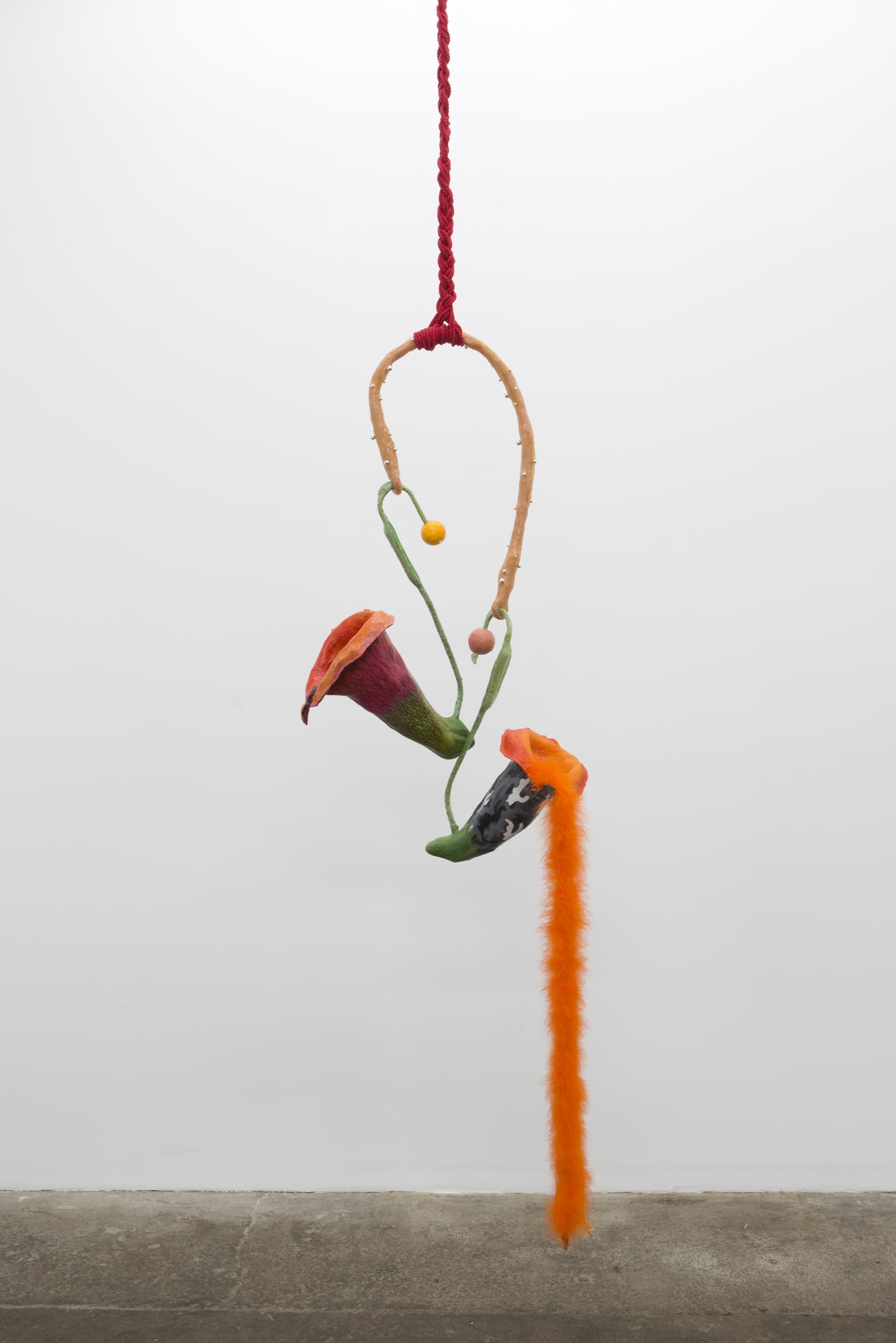 Diana Lozano, Nectar Sweet, Pitfall Trap, 2019