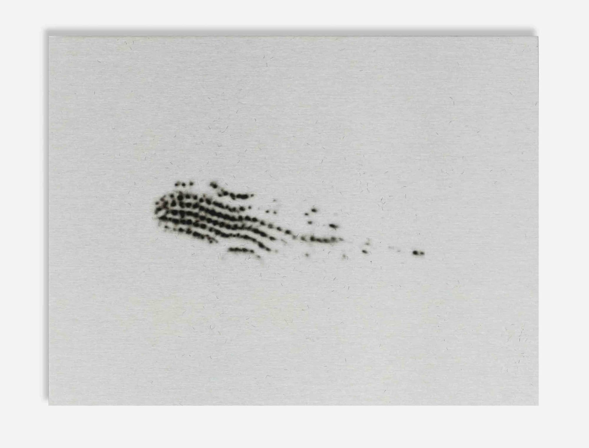 Alice Wang, Untitled 无题, 2014