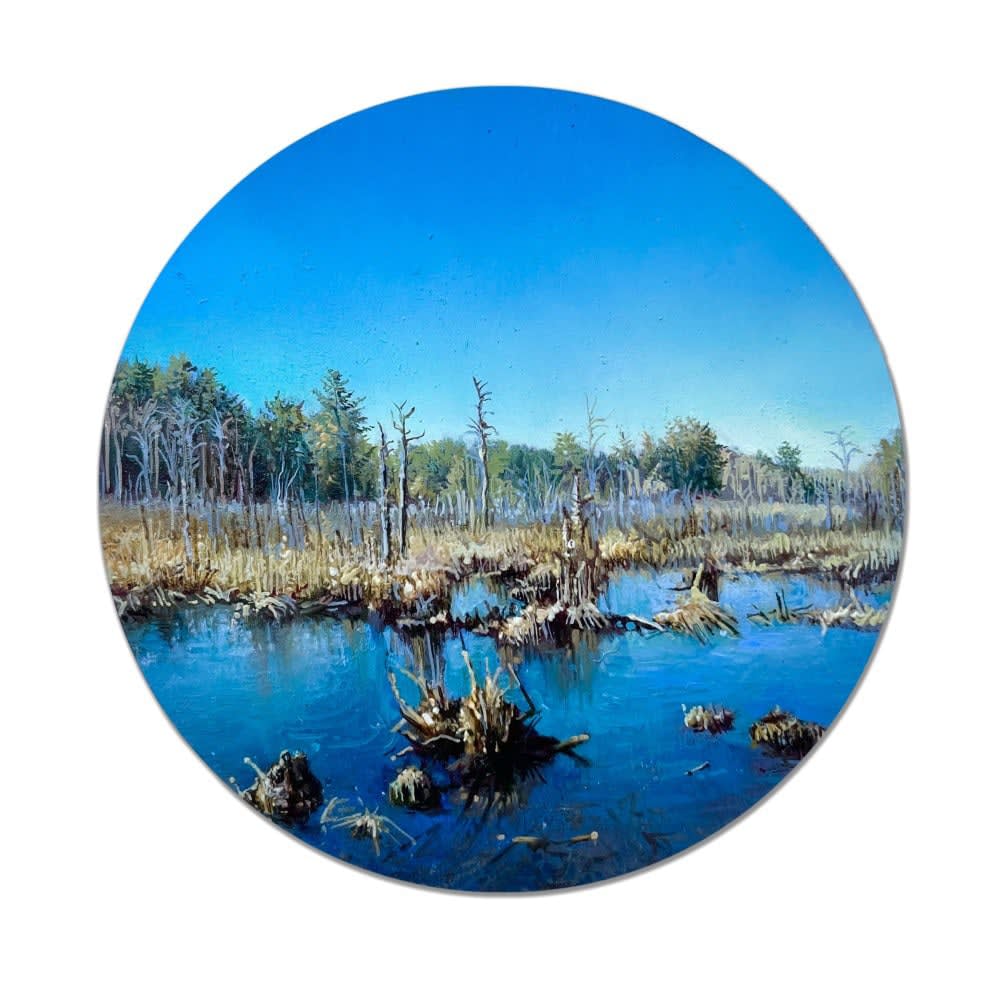 Dina Brodsky, Cape #5: Mashpee, 2022