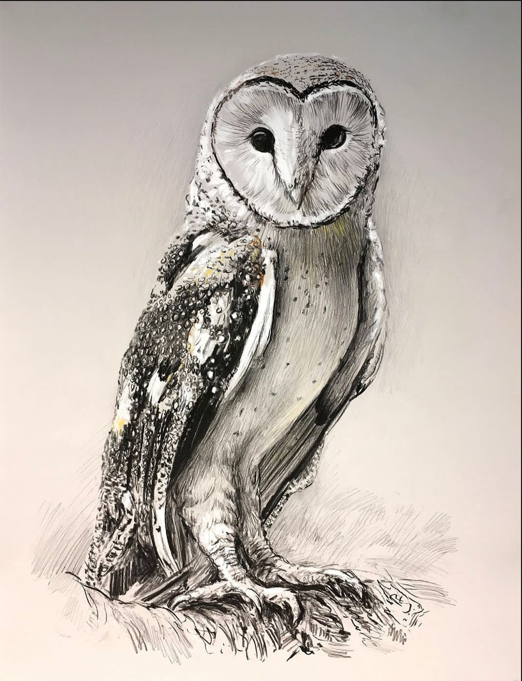 Rick Shaefer, Barn Owl, 2020
