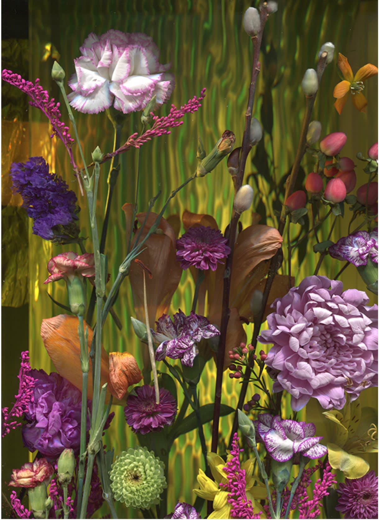 James Mullen, Flora 68, 2023