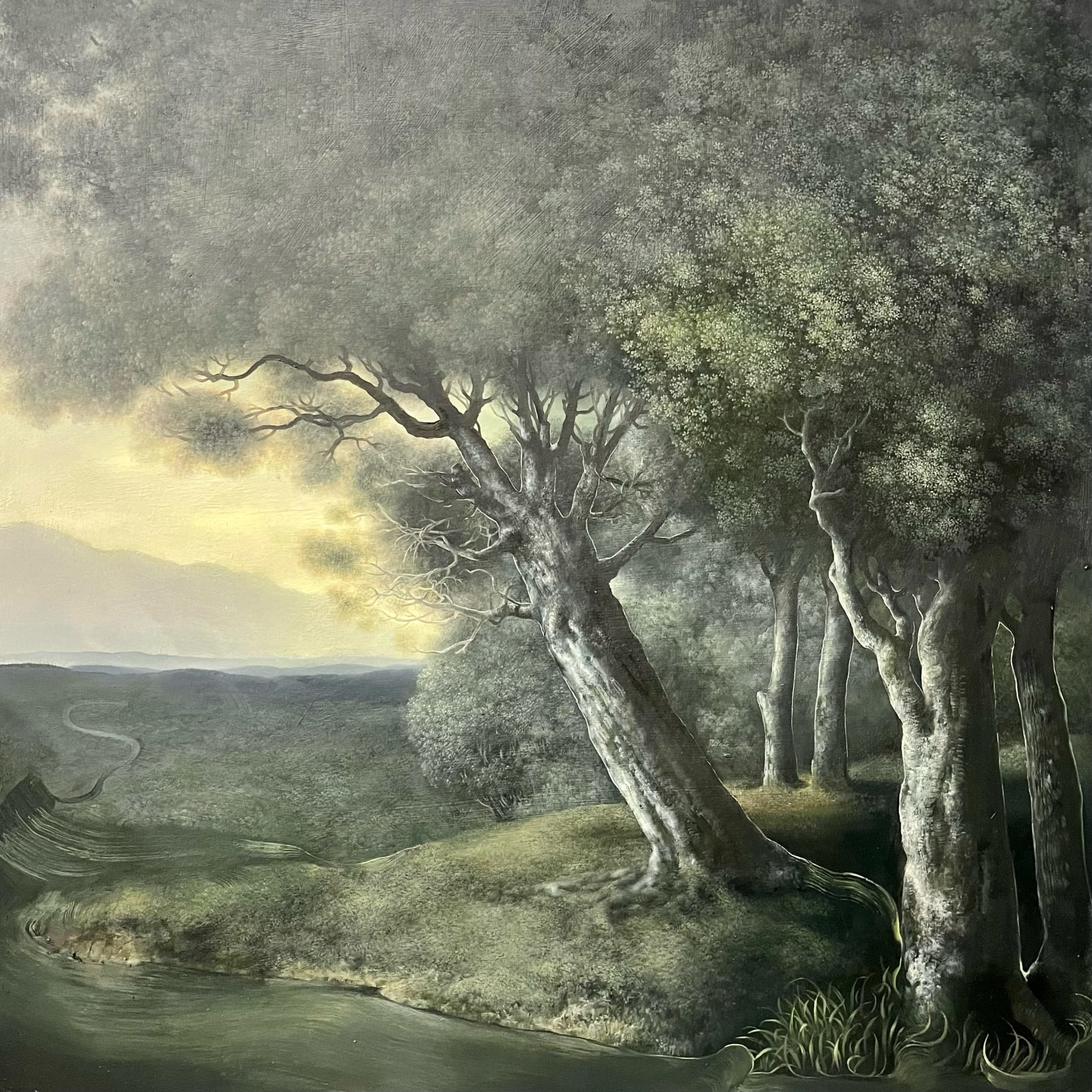 Eileen Murphy, Curl, 2022