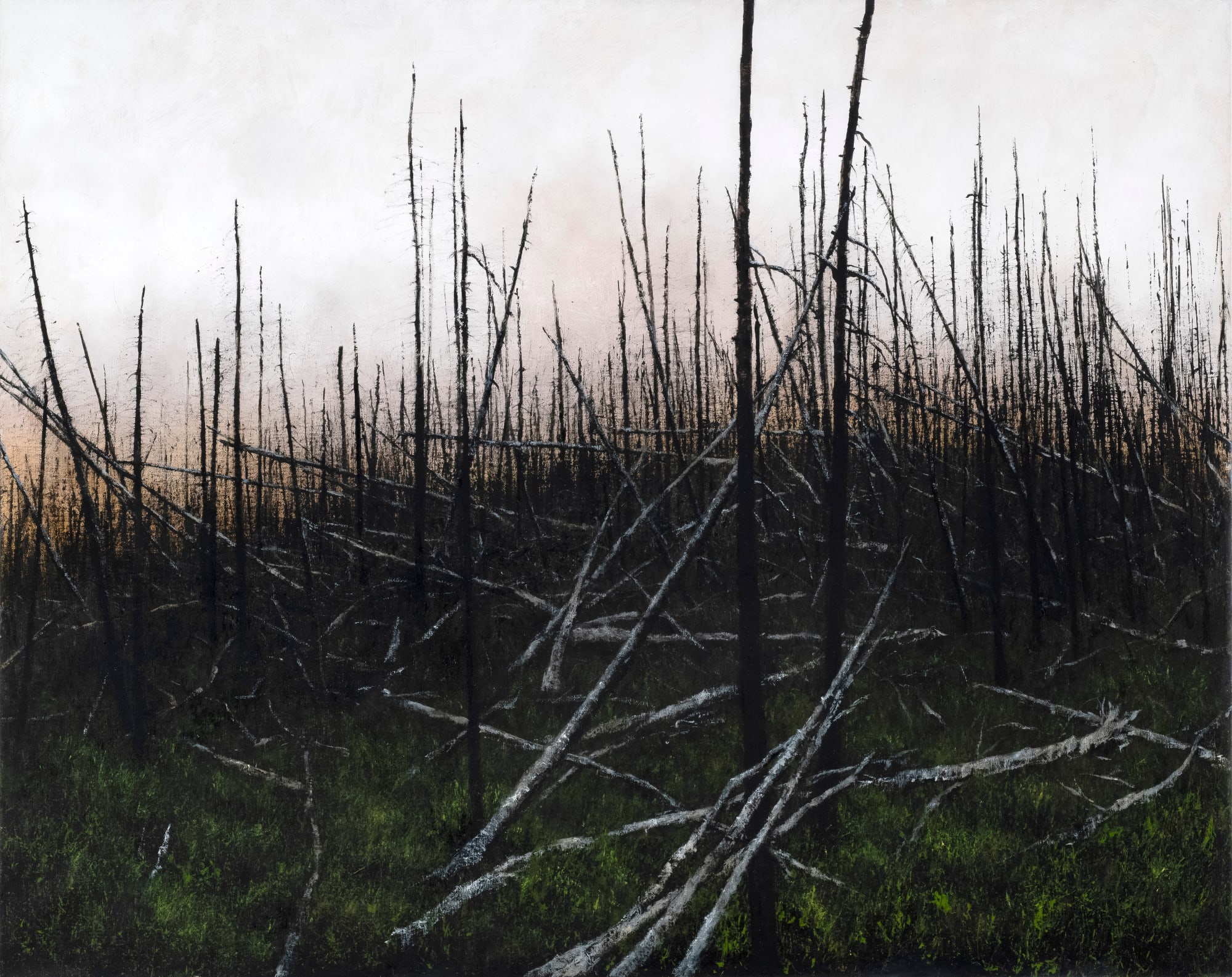 Lisa Lebofsky, Prescribed Burn, 2020