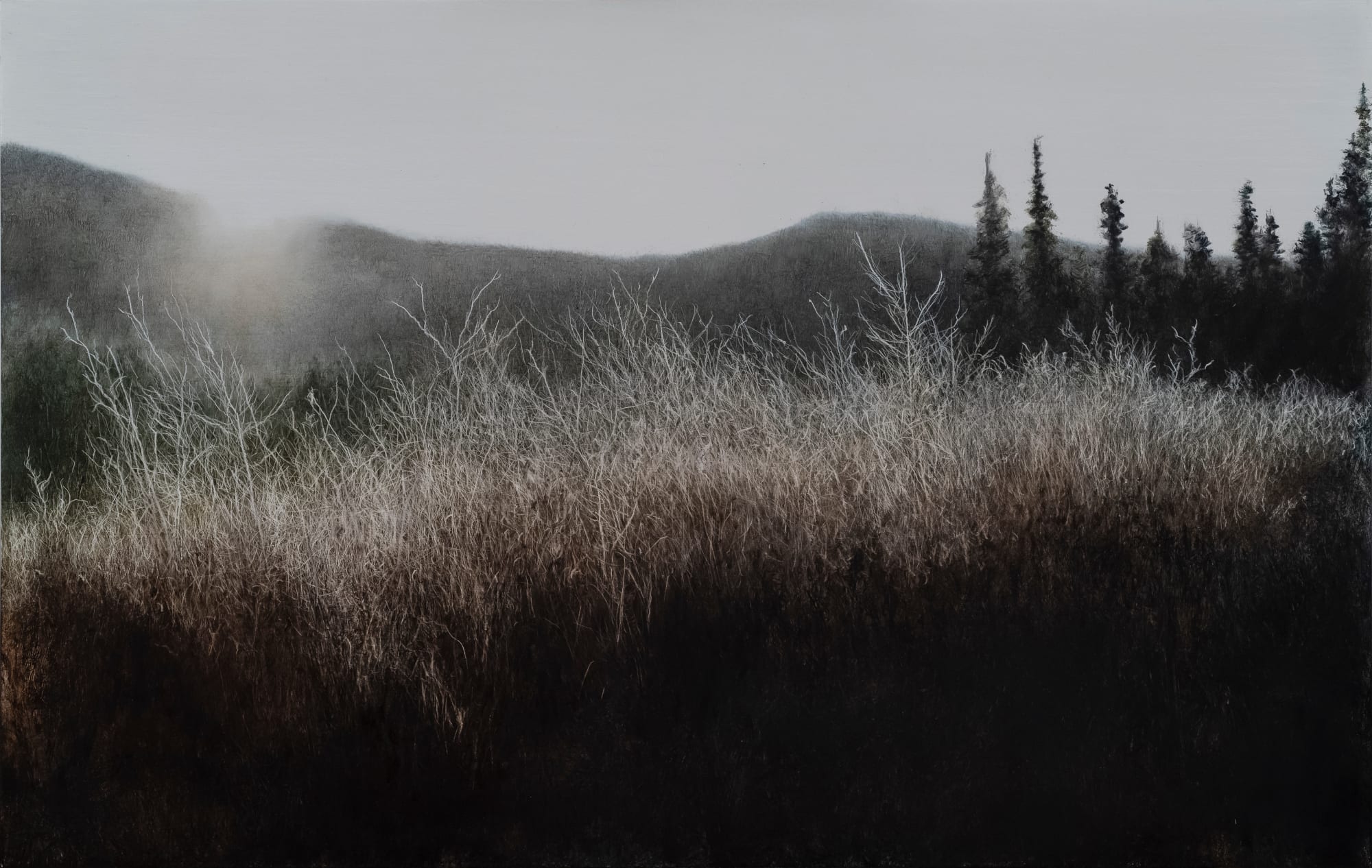 Lisa Lebofsky, Morning Rime, 2022