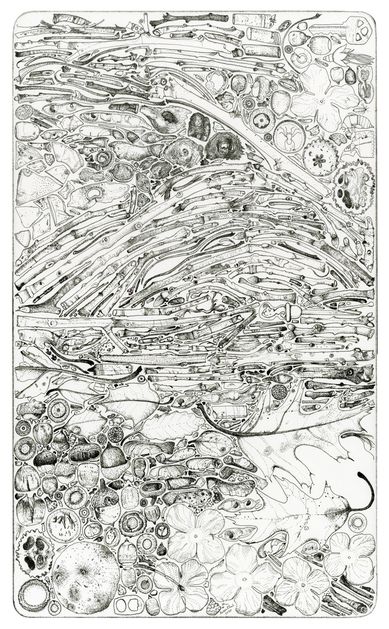 Mia Rosenthal, Found at McMichael Park, 2020