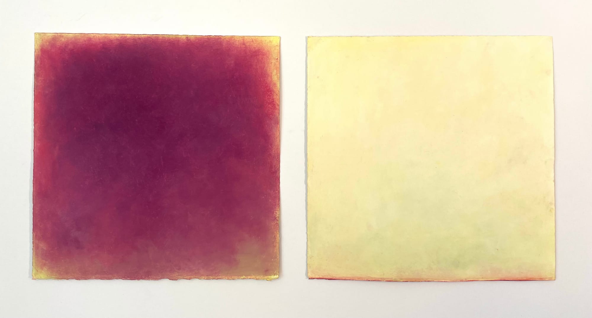 Daisy Craddock, Pesca Bianca (white peach), 2022