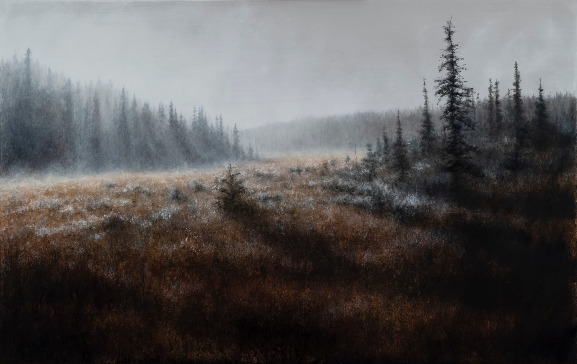 Lisa Lebofsky, Morning on the Bog, 2022