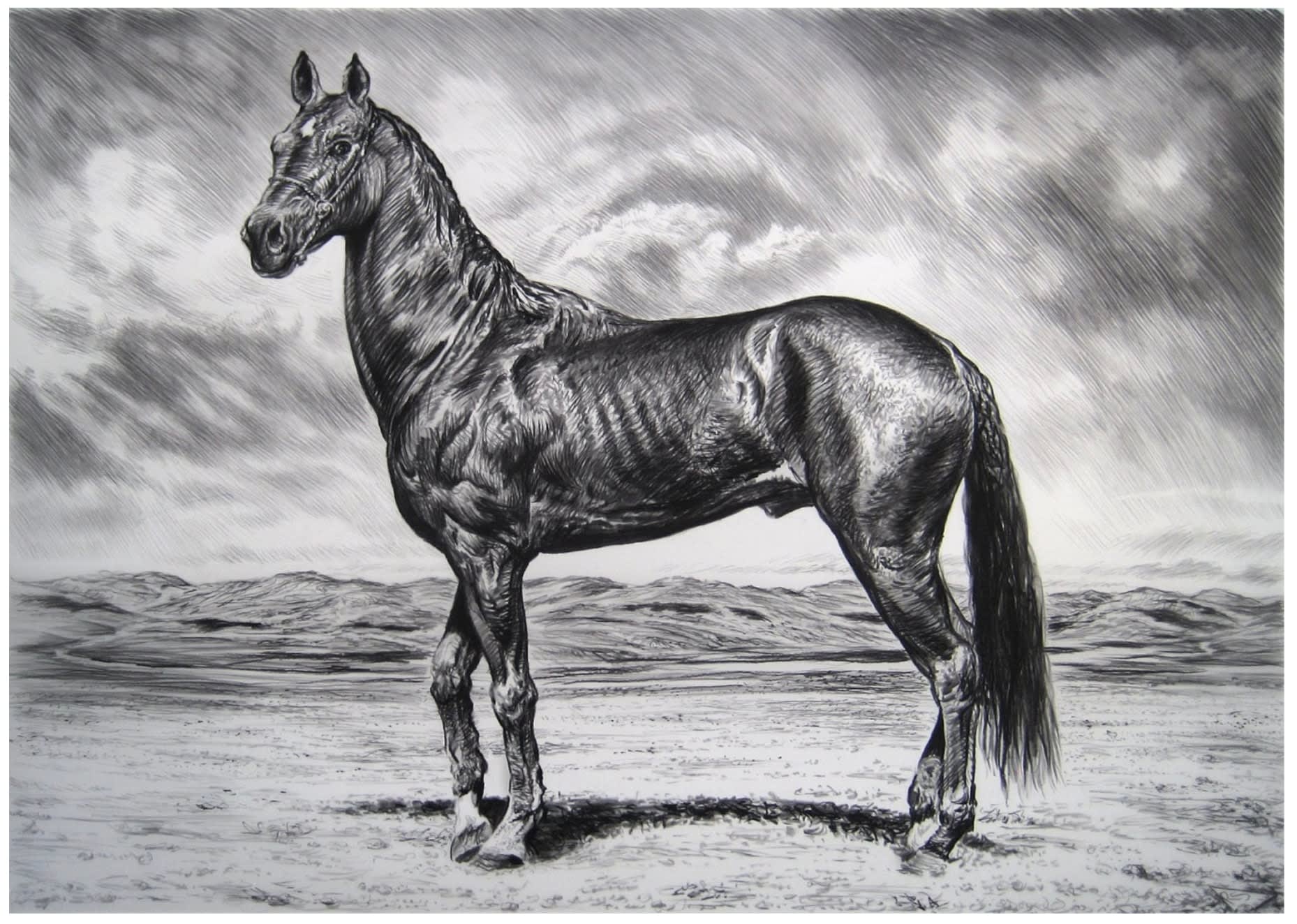 Rick Shaefer, Akhal Teke III, 2016