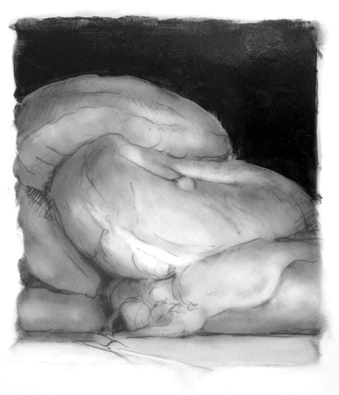 Emily Eveleth, After All This, 2009