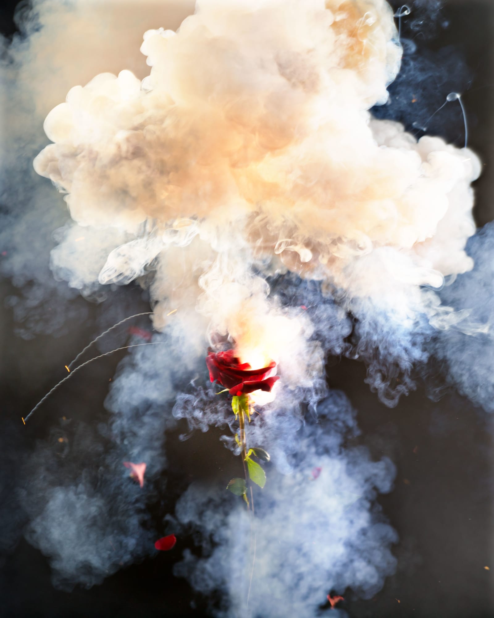David Drebin, Exploding Rose