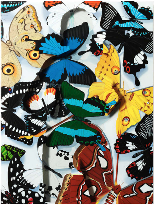 Caroline Dechamby, L’Envol, 2022