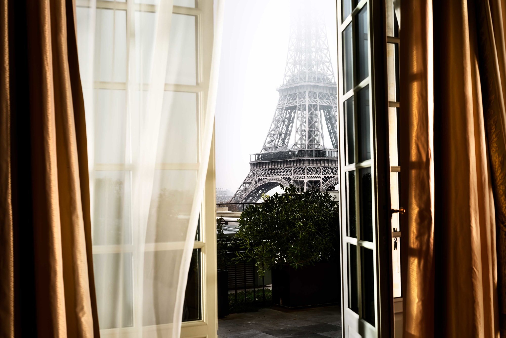 David Drebin, Escape To Paris