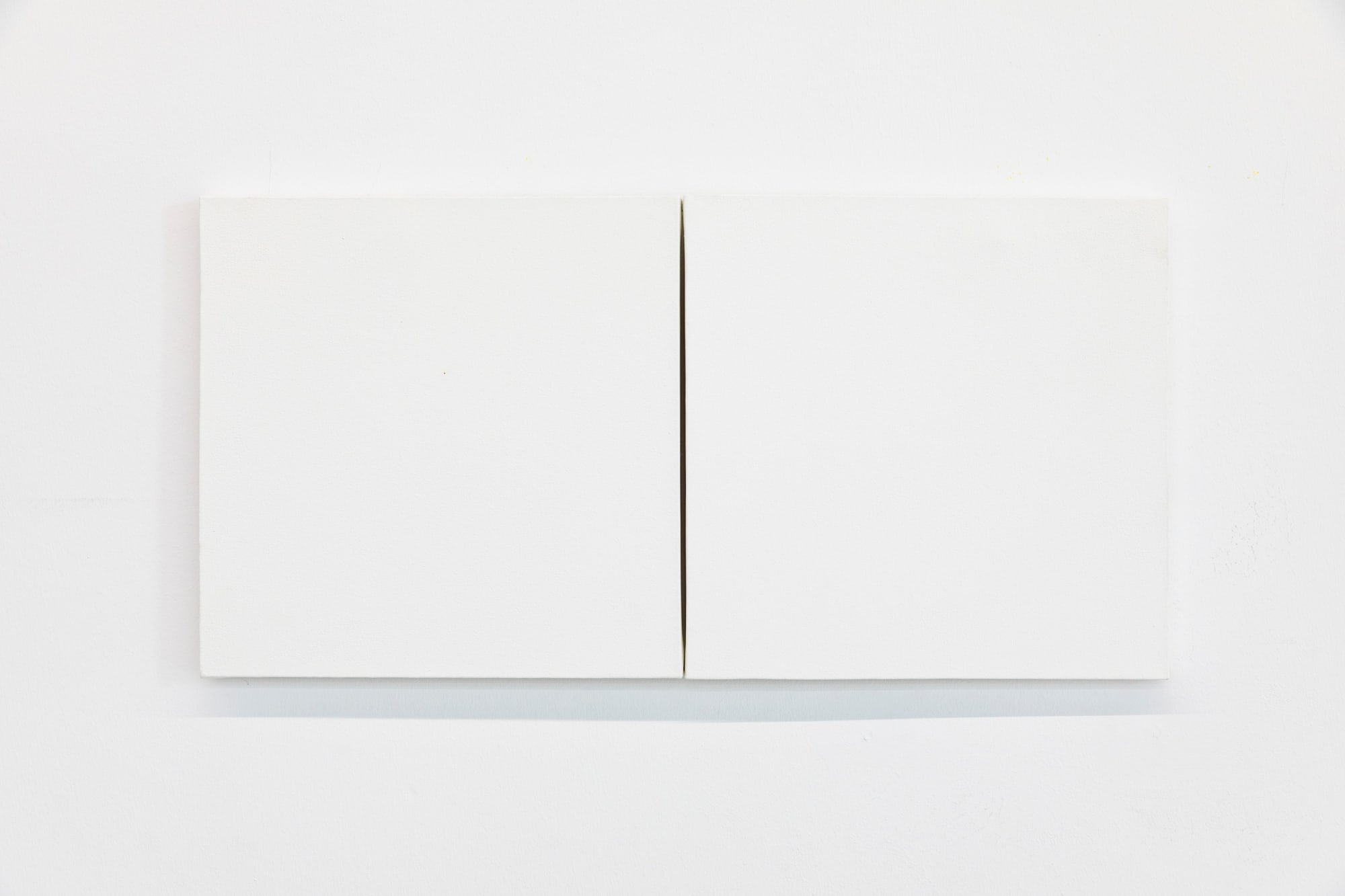 Fernanda Gomes, Untitled, 2011