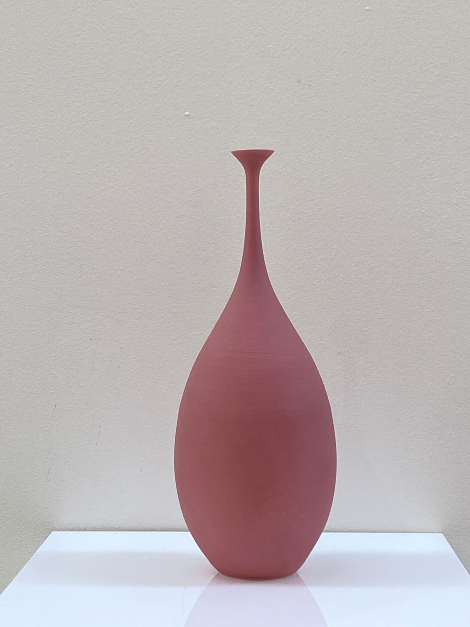 Sophie Cook, Small teardrop dry rose, 2023