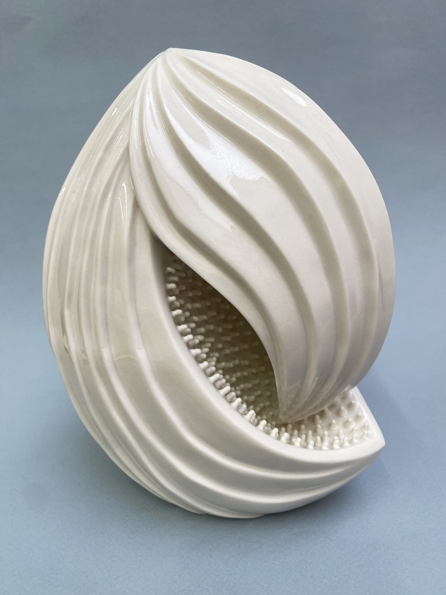 Ikuko Iwamoto, Kinomi, 2022