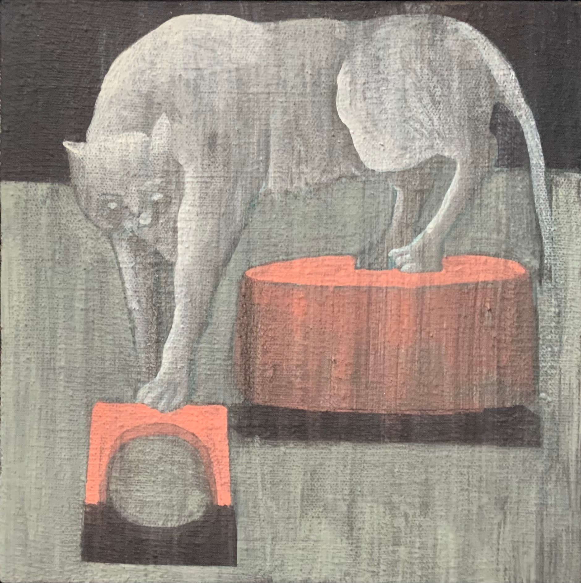 Wong Sze Wai, Circus, 2022
