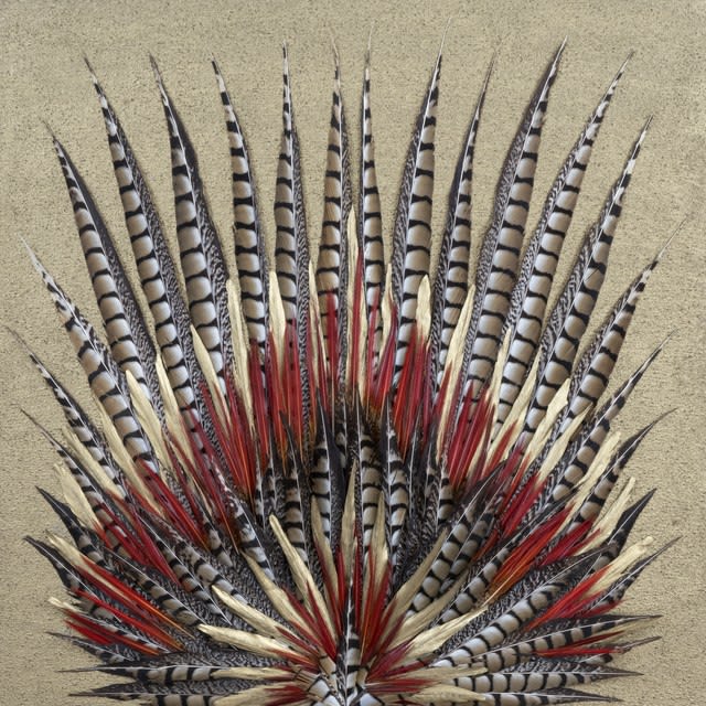 Nicki Marx, # 3/18, Elán